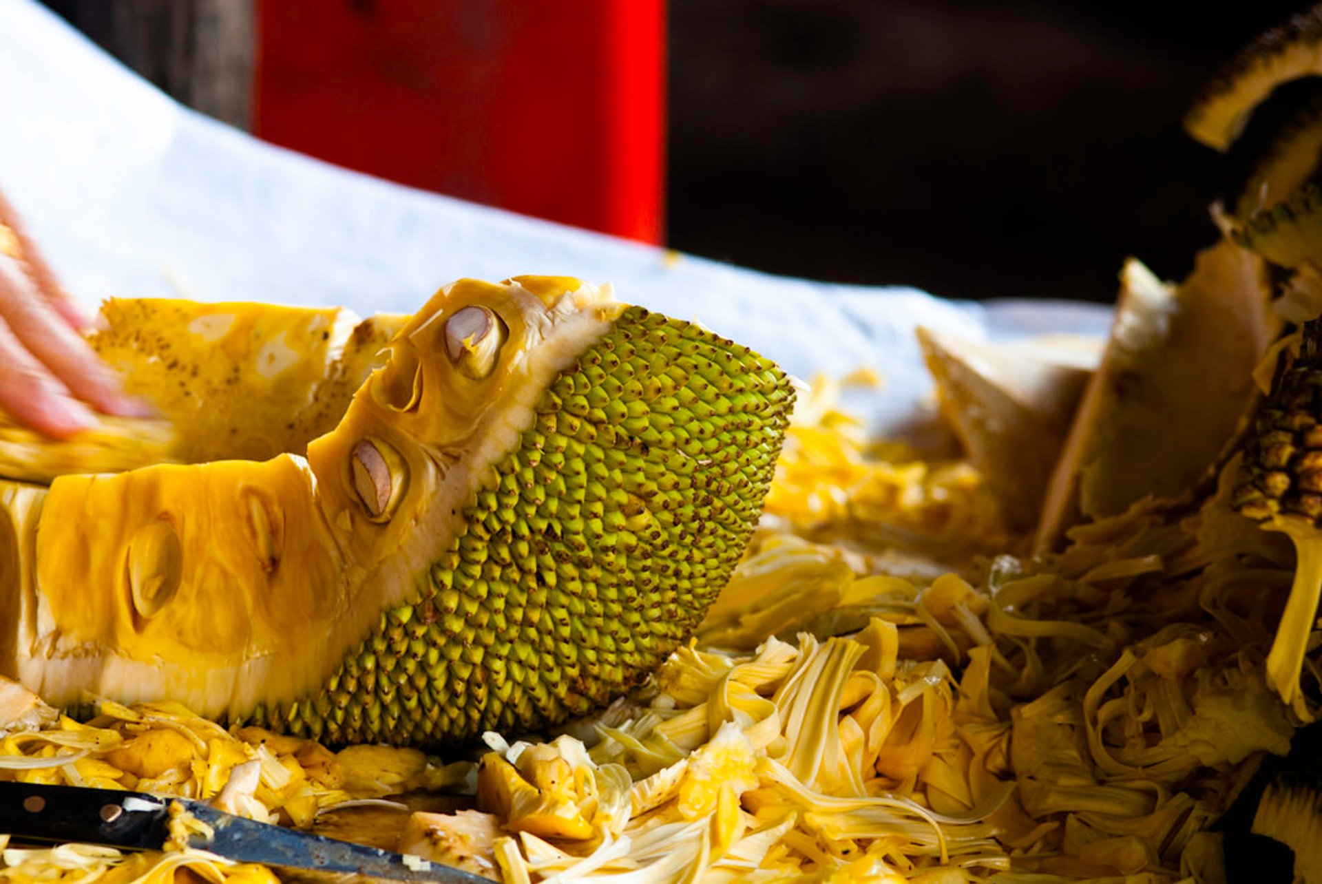 Durian Season in Cambodia - Best Season