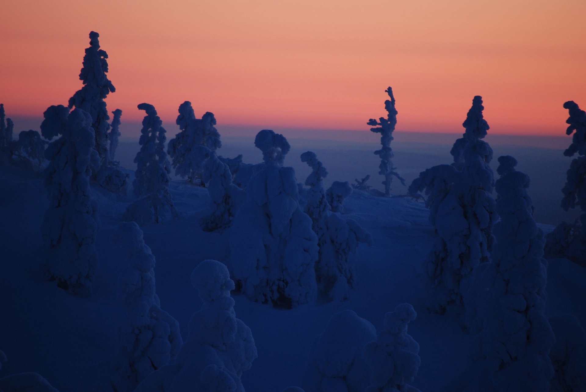 Kaamos: the Polar Night