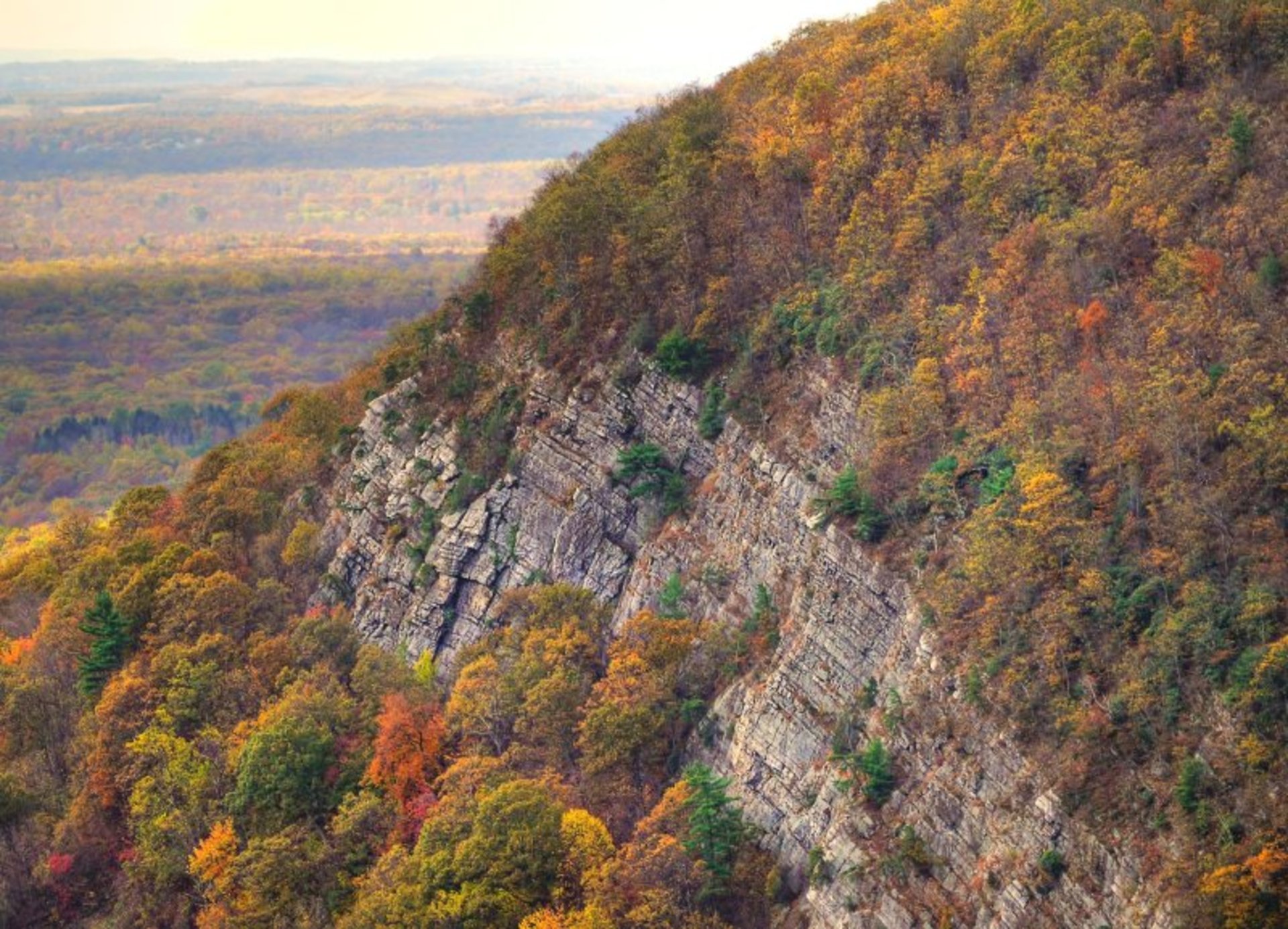 Colori autunnali a Delaware Water Gap