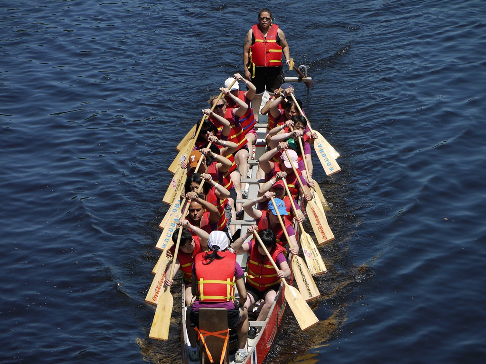 Festival delle barche dragone di Boston