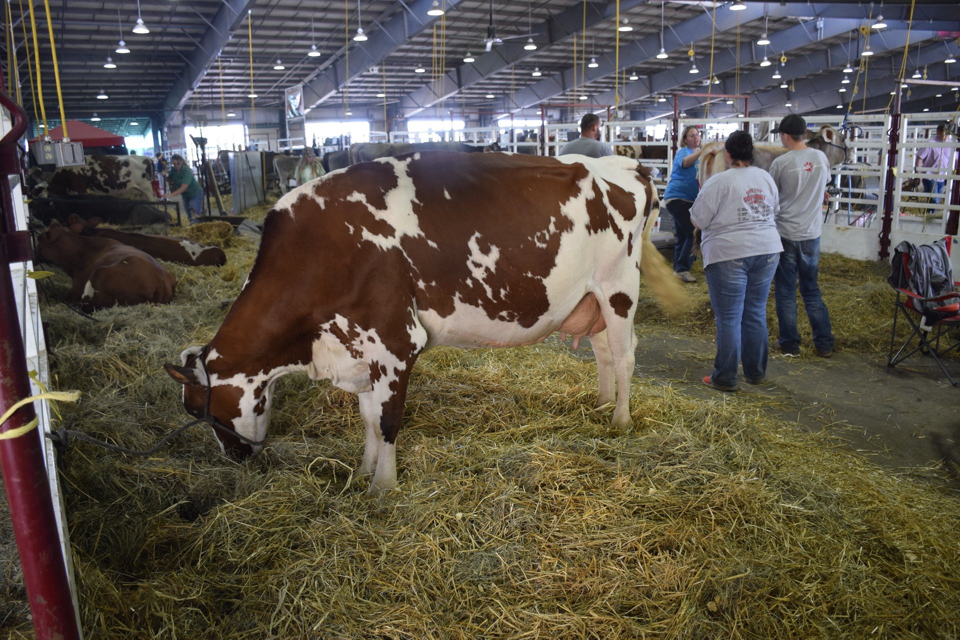 Tulsa State Fair 2024 Vendor Registration Renee Charline