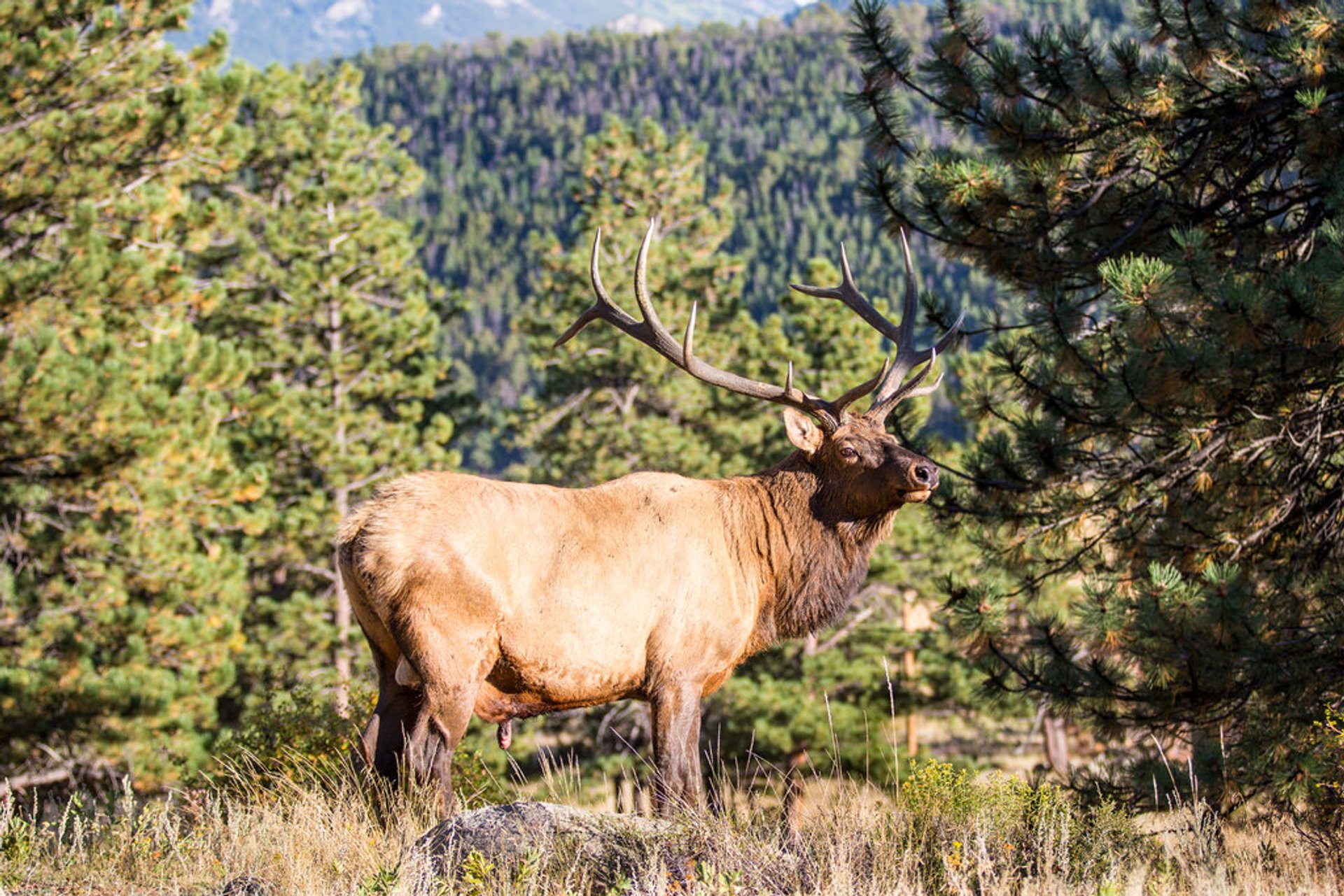 Senderismo en el Rocky Mountain National Park