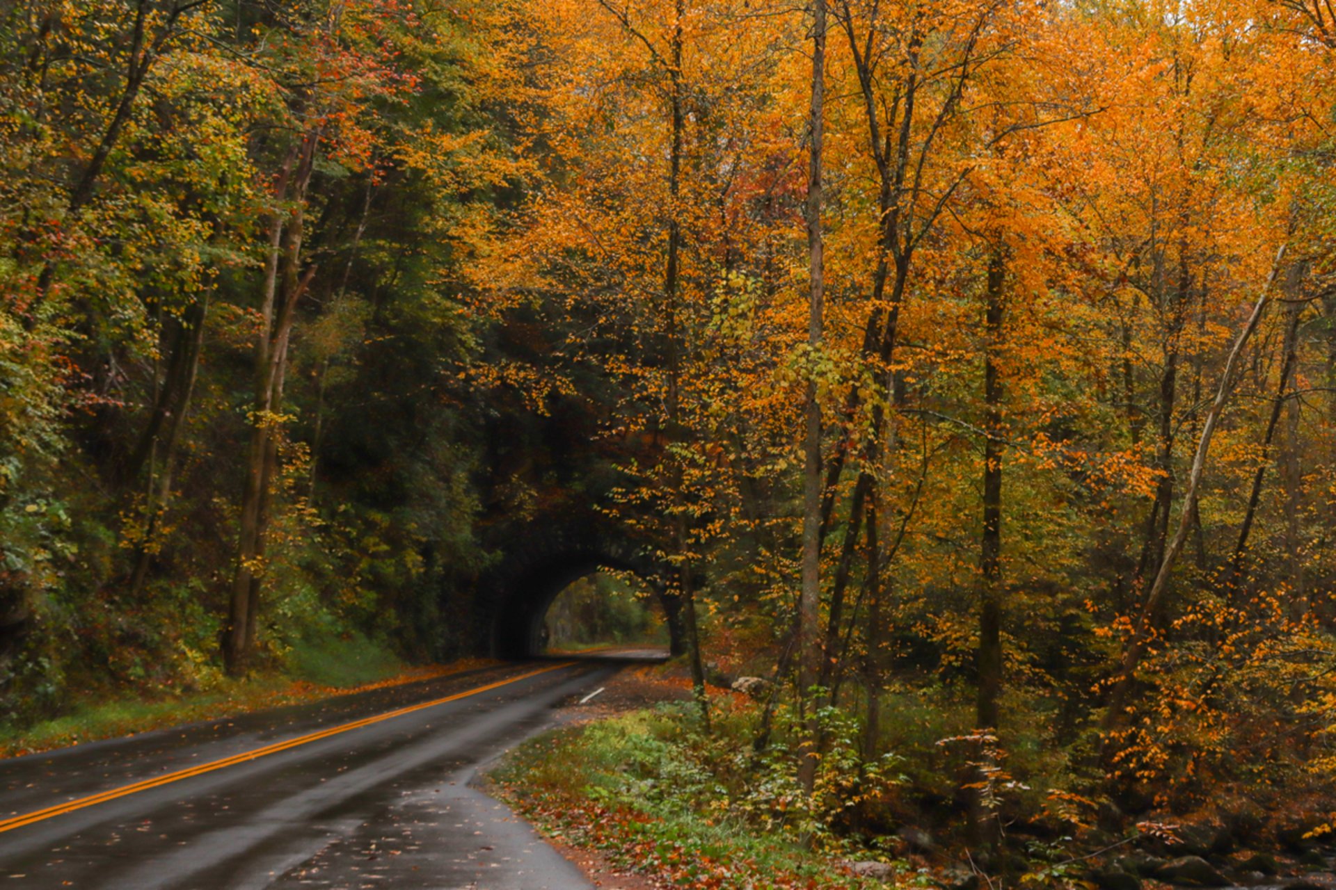 Cores do Outono no Tennessee