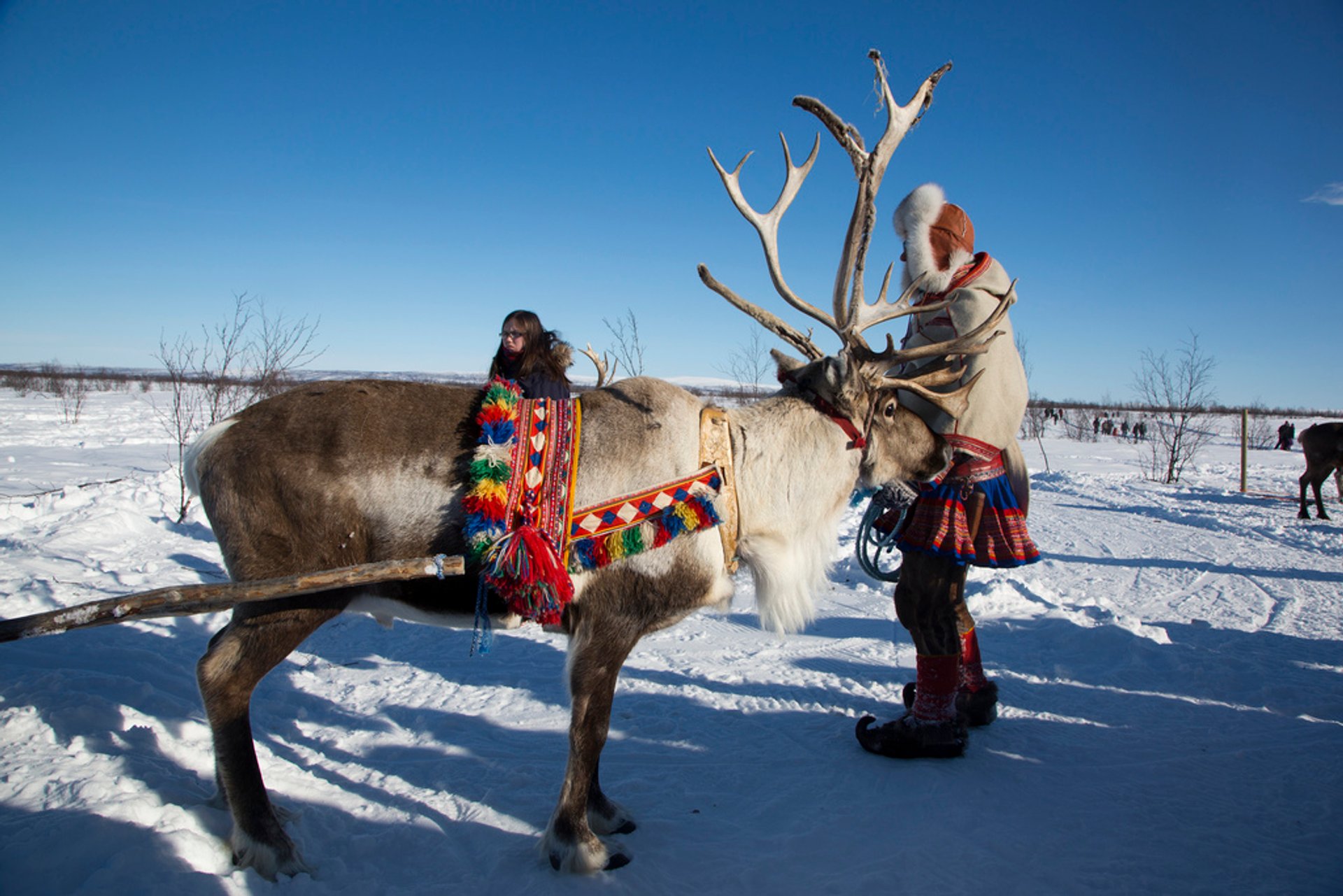 World Reindeer Racing Championships (Sami Week)	