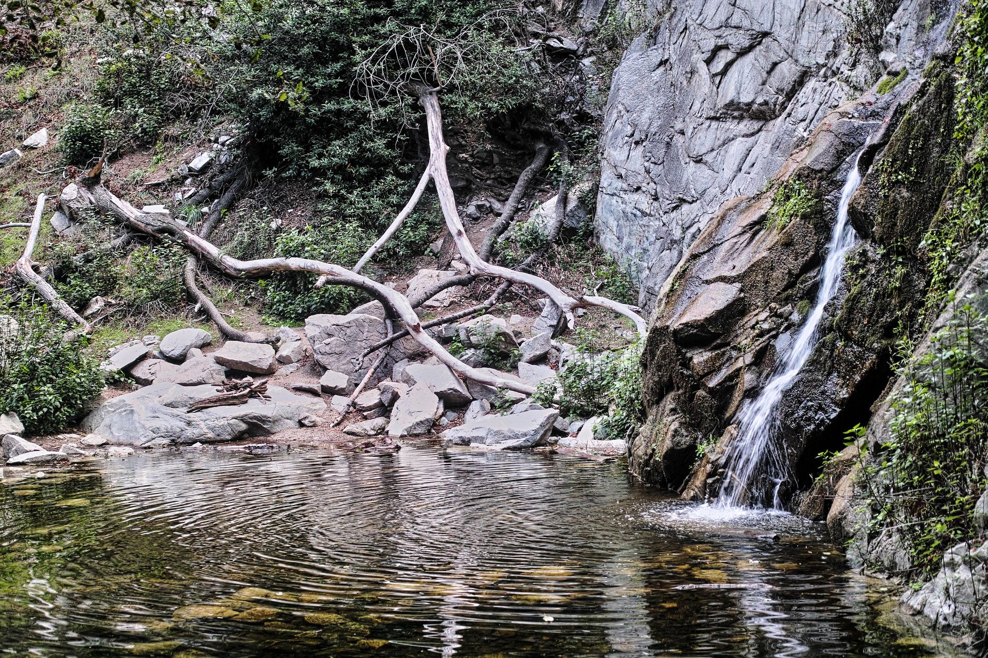 Sturtevant Falls