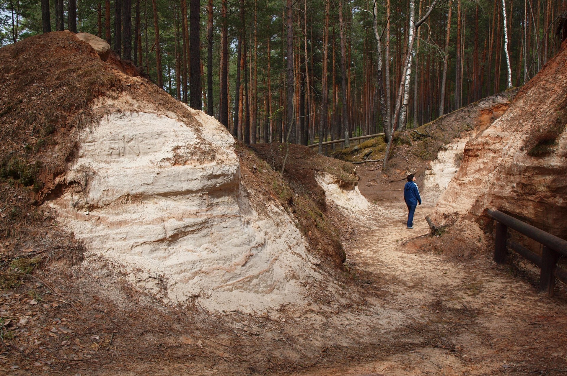 Fledermäuse in Piusa Sandhöhlen