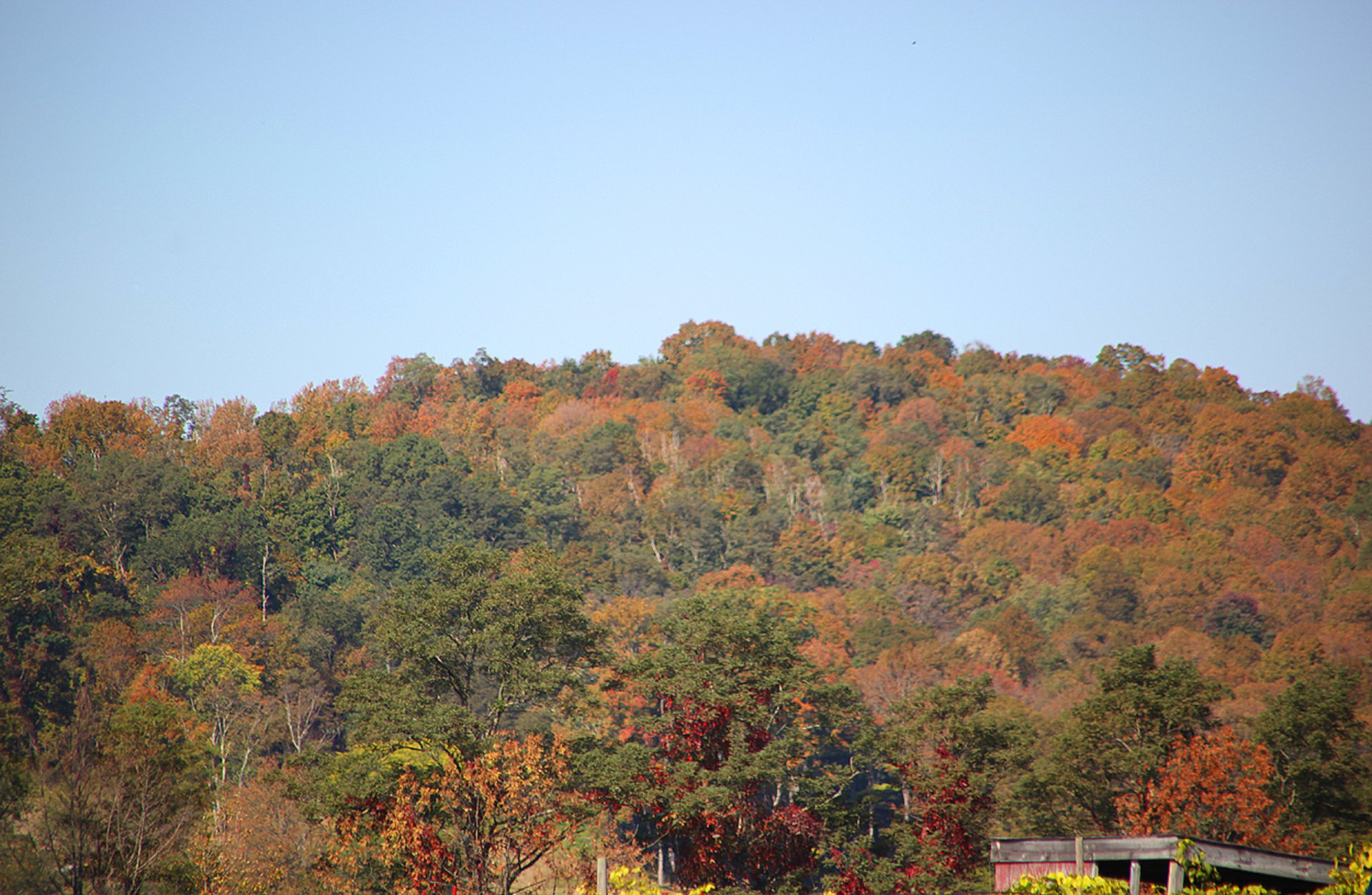 Couleurs d'automne à Hudson Highlands State Park 