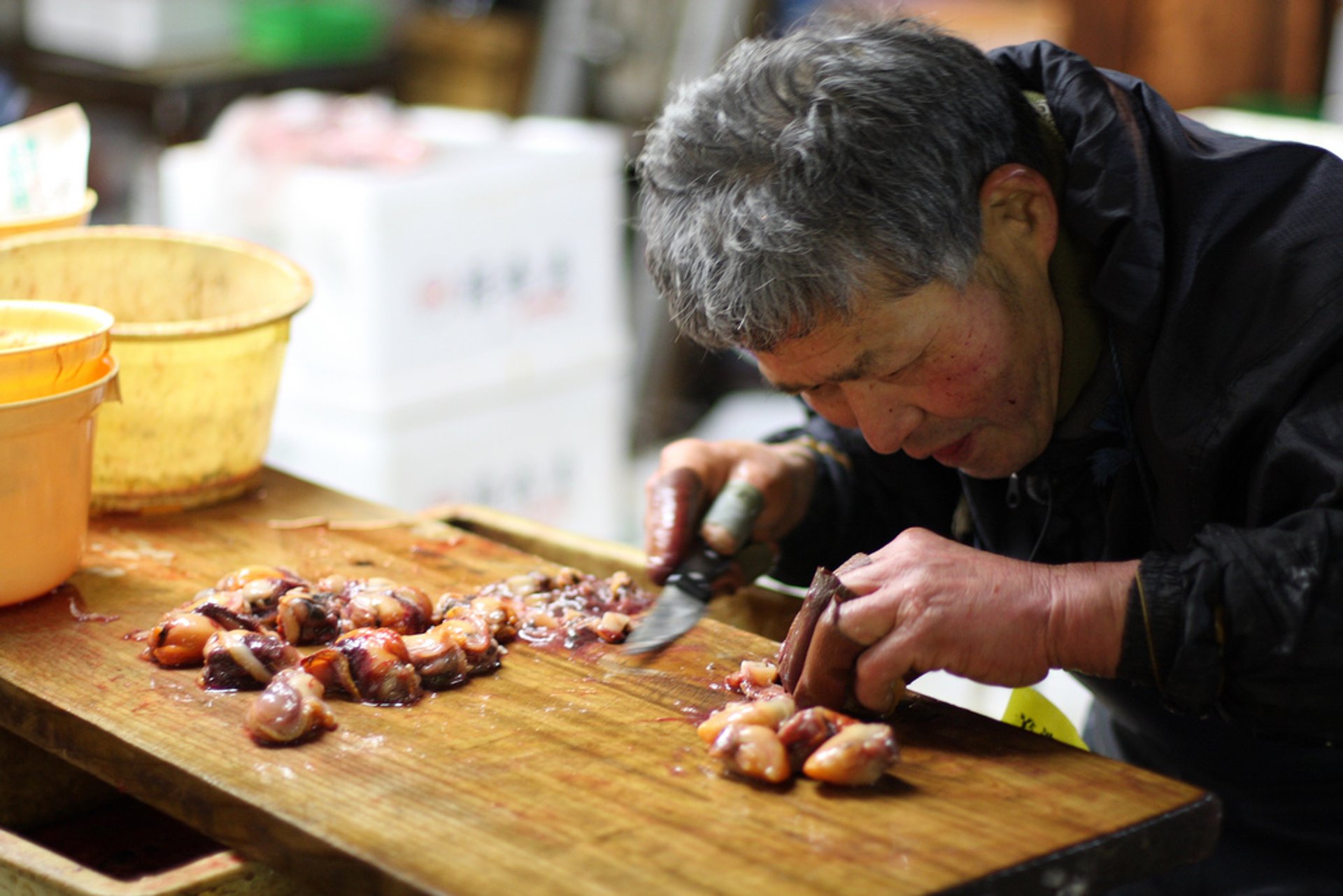 Toyosu Market