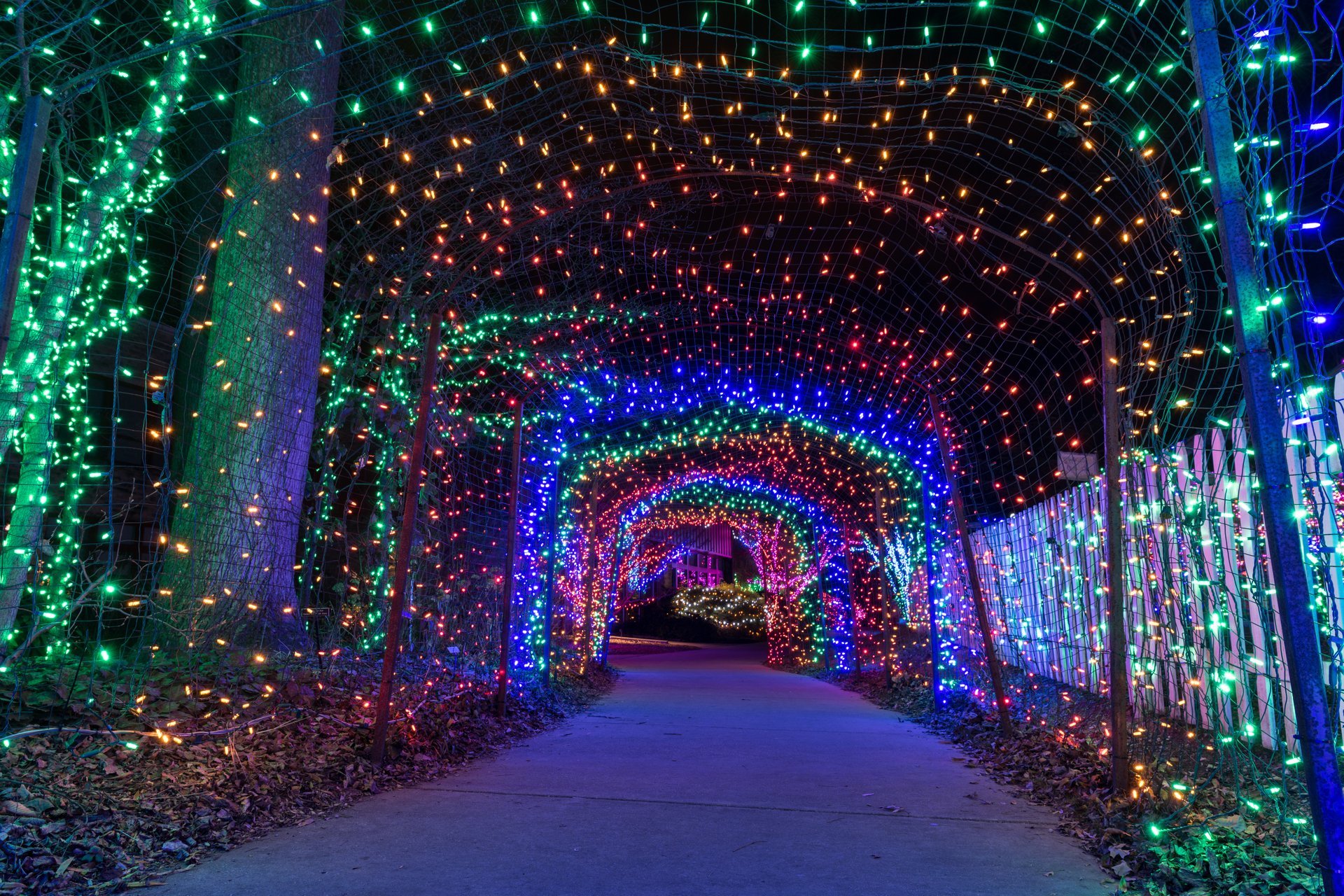 Weihnachtslichter in der Nähe Maryland