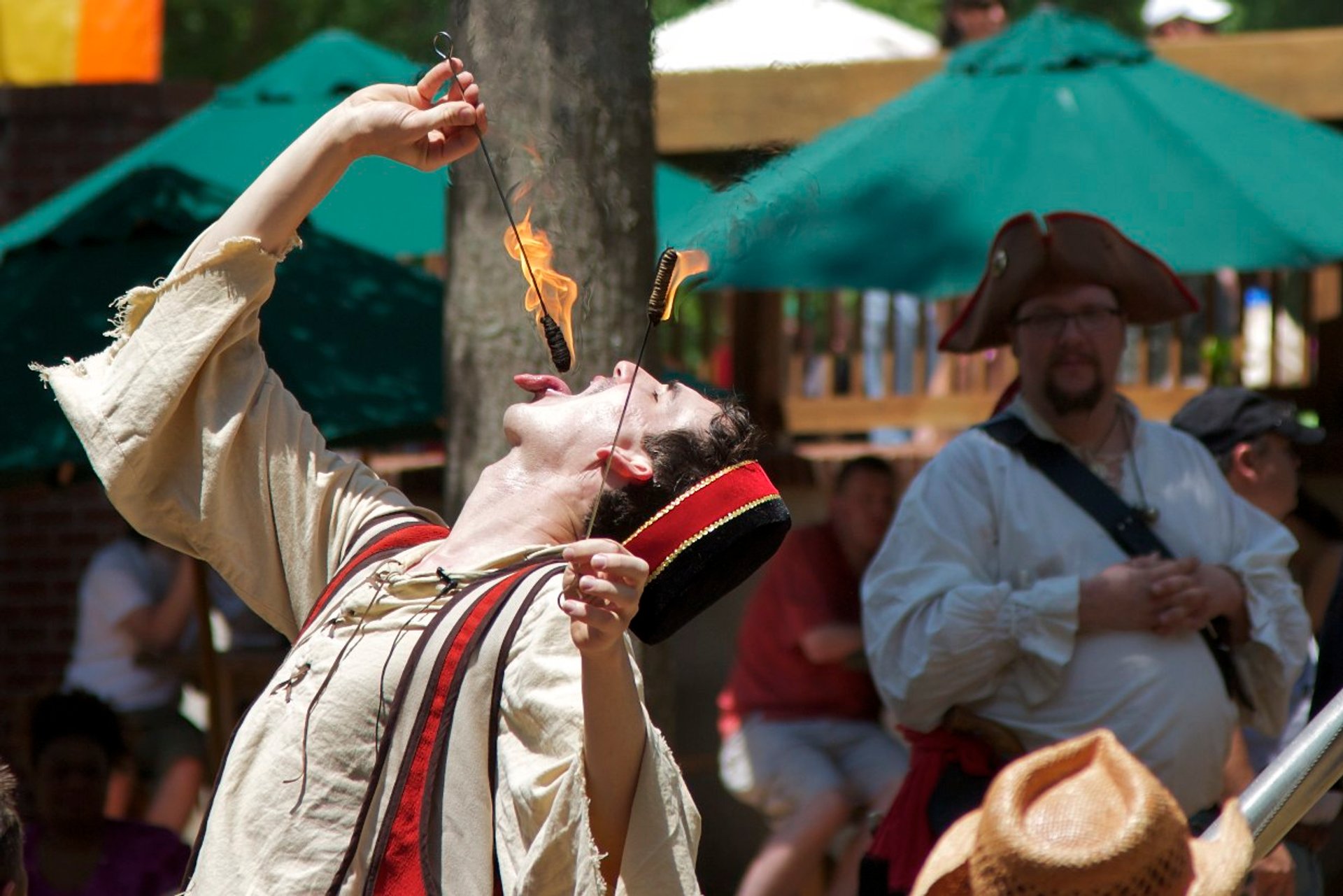 Georgia Renaissance Festival