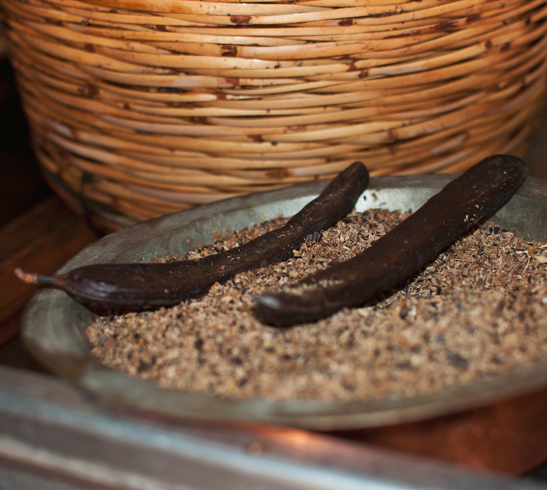 Carob Harvest