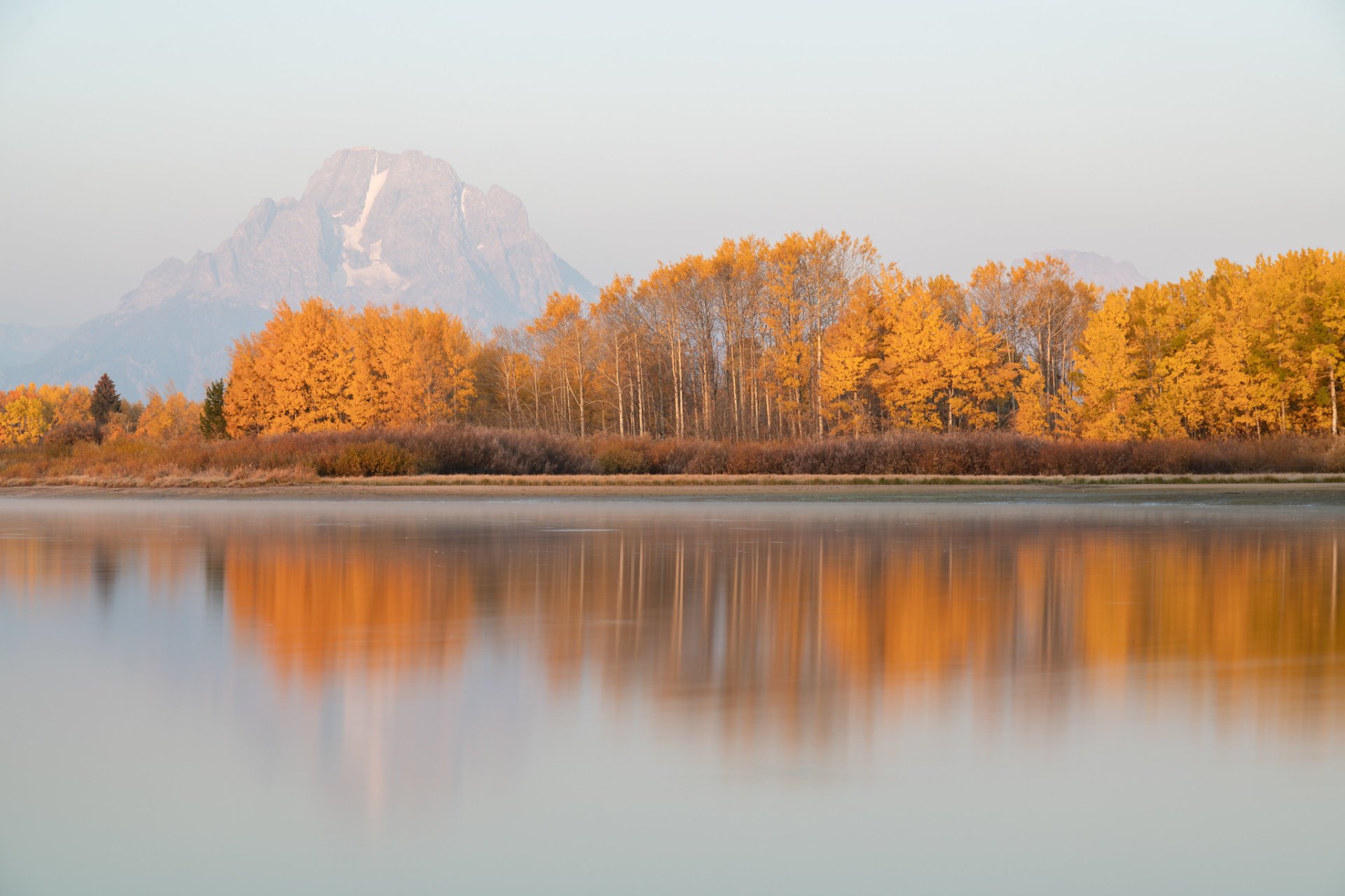 Grand Teton Herbstlaub