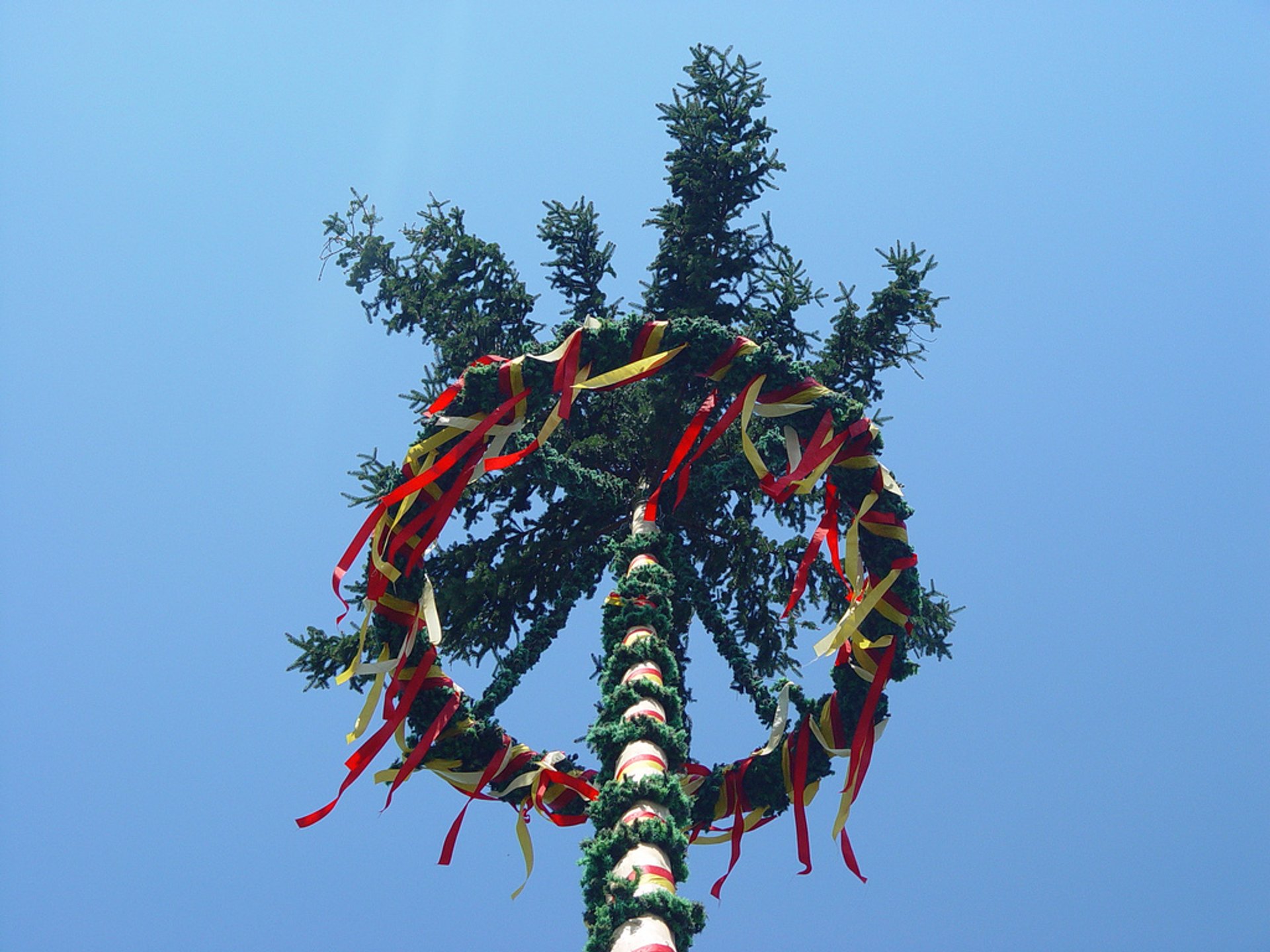 Maypole (Maibaum)