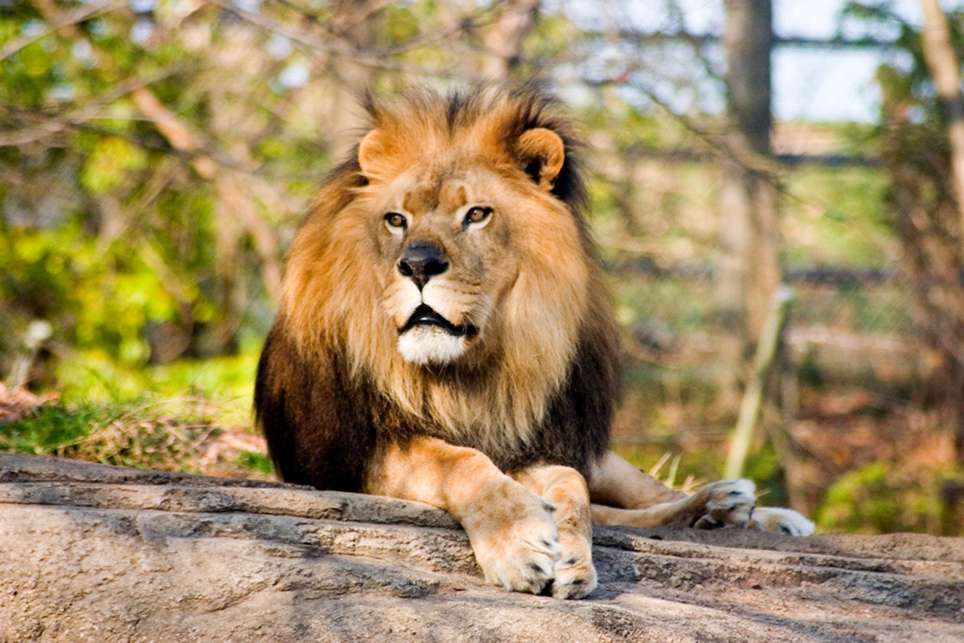 Pittsburgh Zoo Free Admission Days 2024 - Babita Lilith