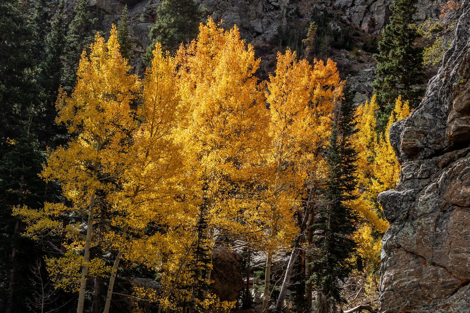 Best Time to See Fall Colors in Denver 2020 When & Where to See
