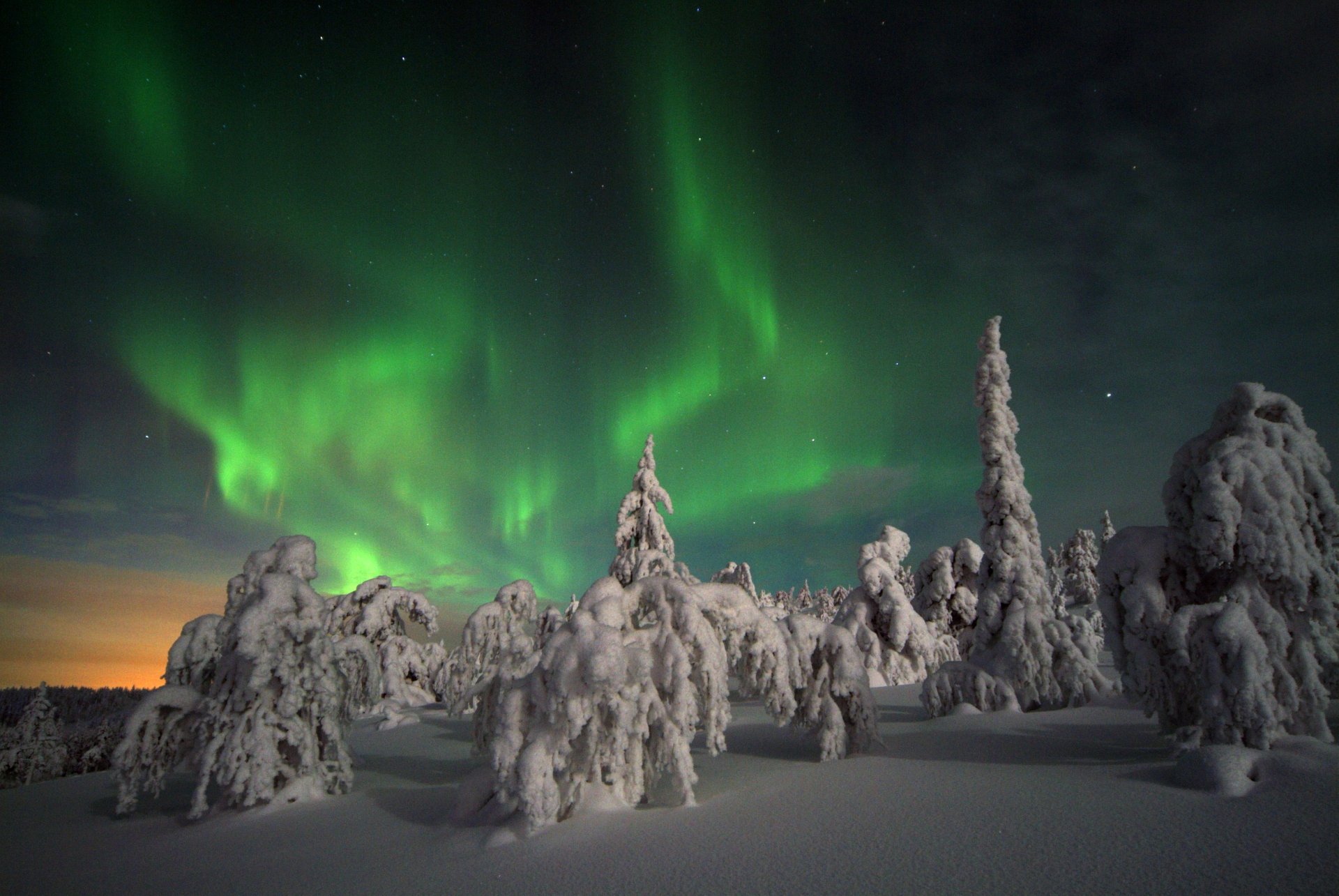 Tykky in Riisitunturi National Park