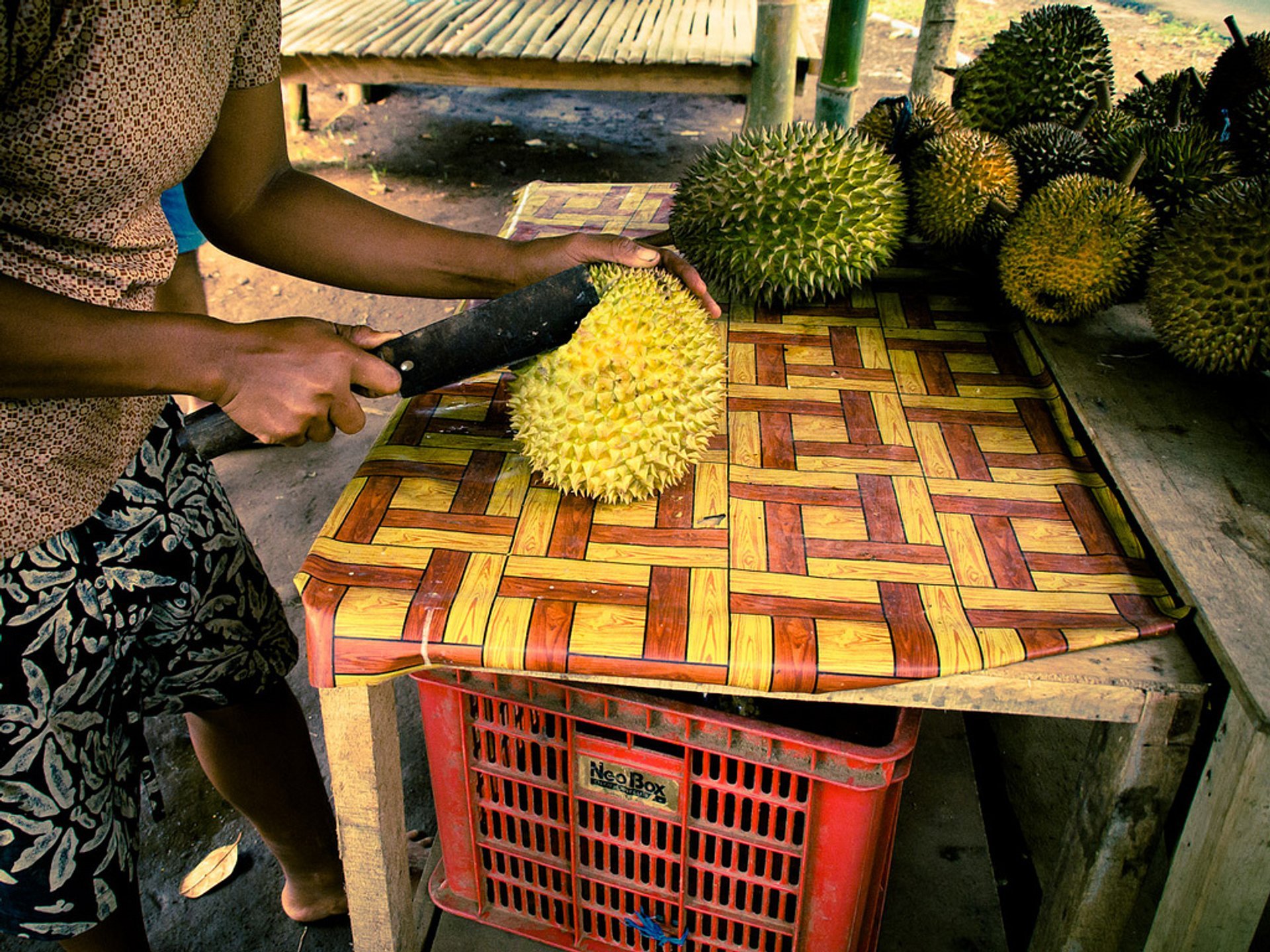 Durian Season in Bali 2024 Rove.me