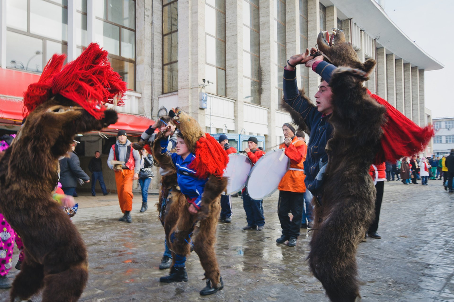 Neujahrsbären