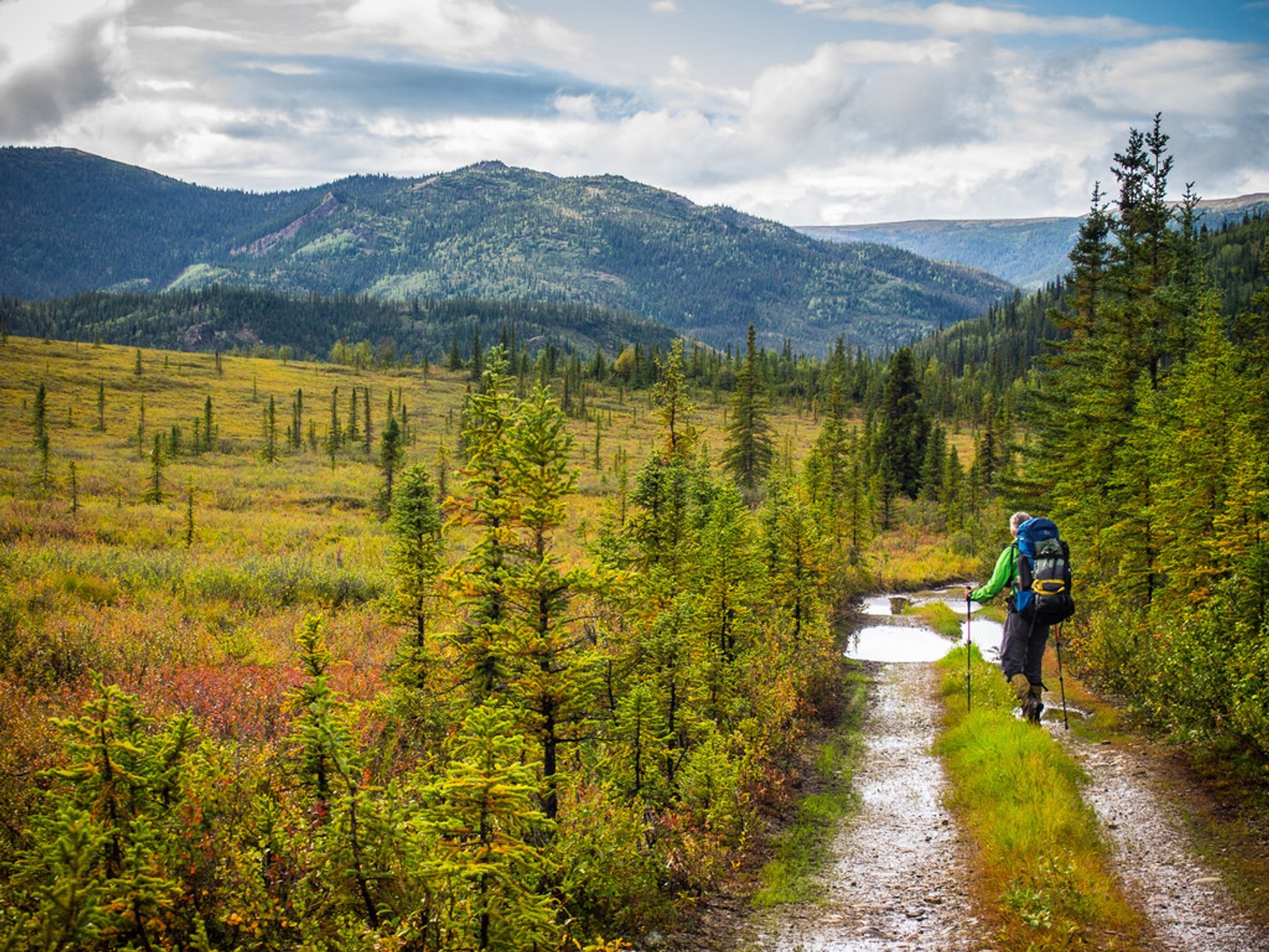 Stampede Trail und Bus 142