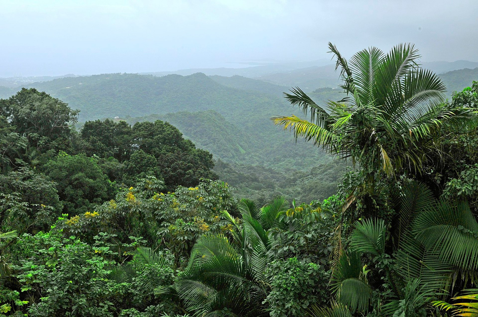 El Yunque National Forest