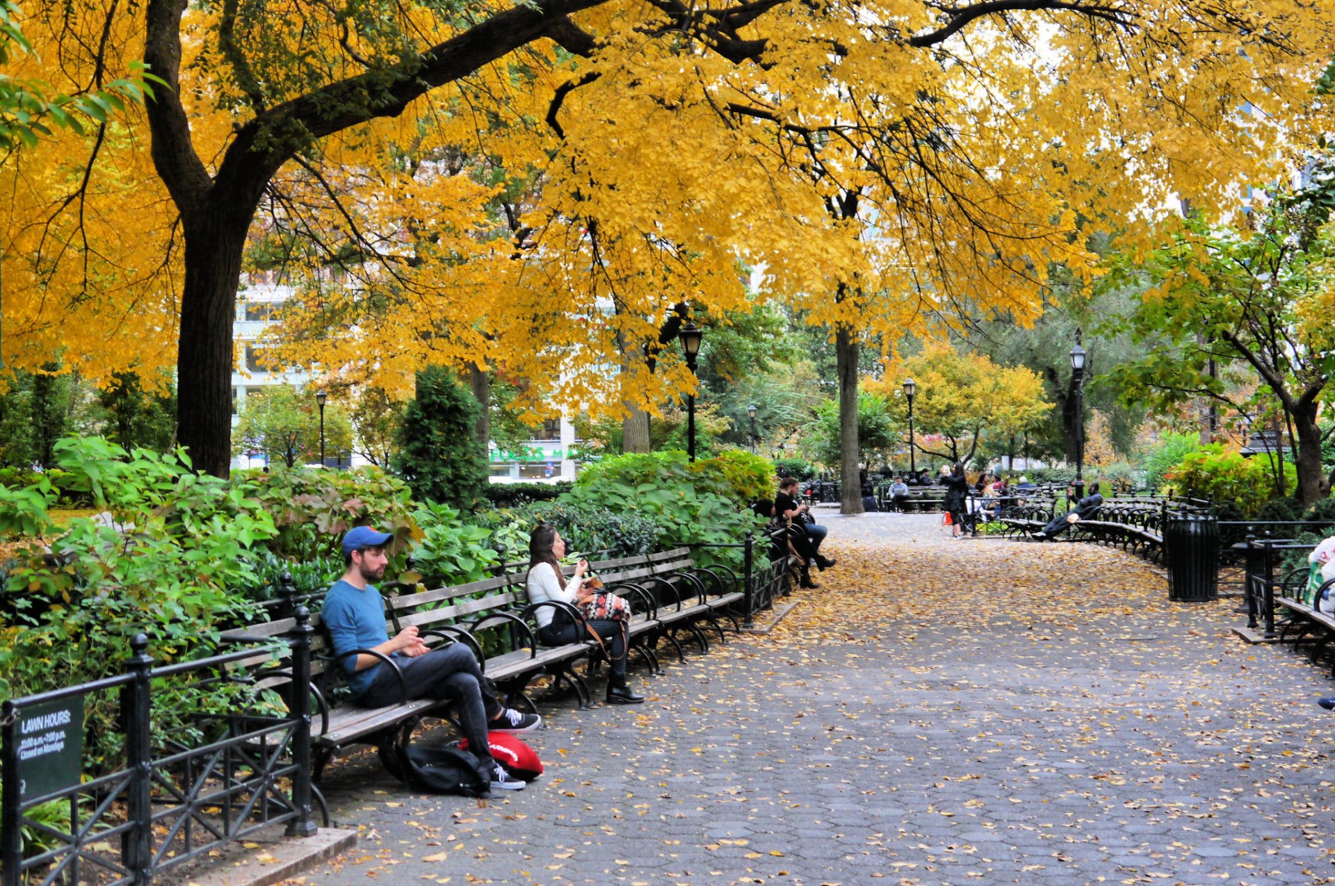 NYC Herbstlaub