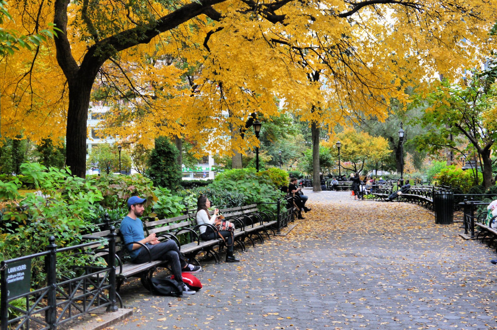 Colori autunnali di New York