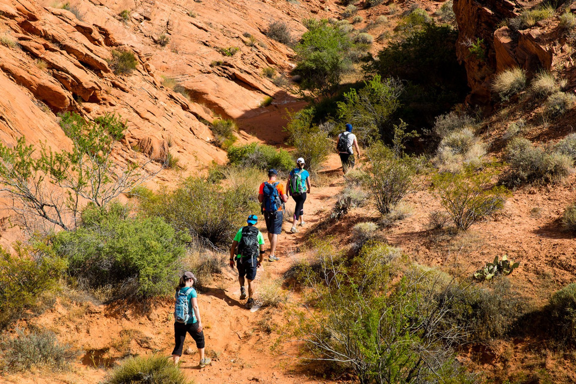 Hiking in the Valley of Fire