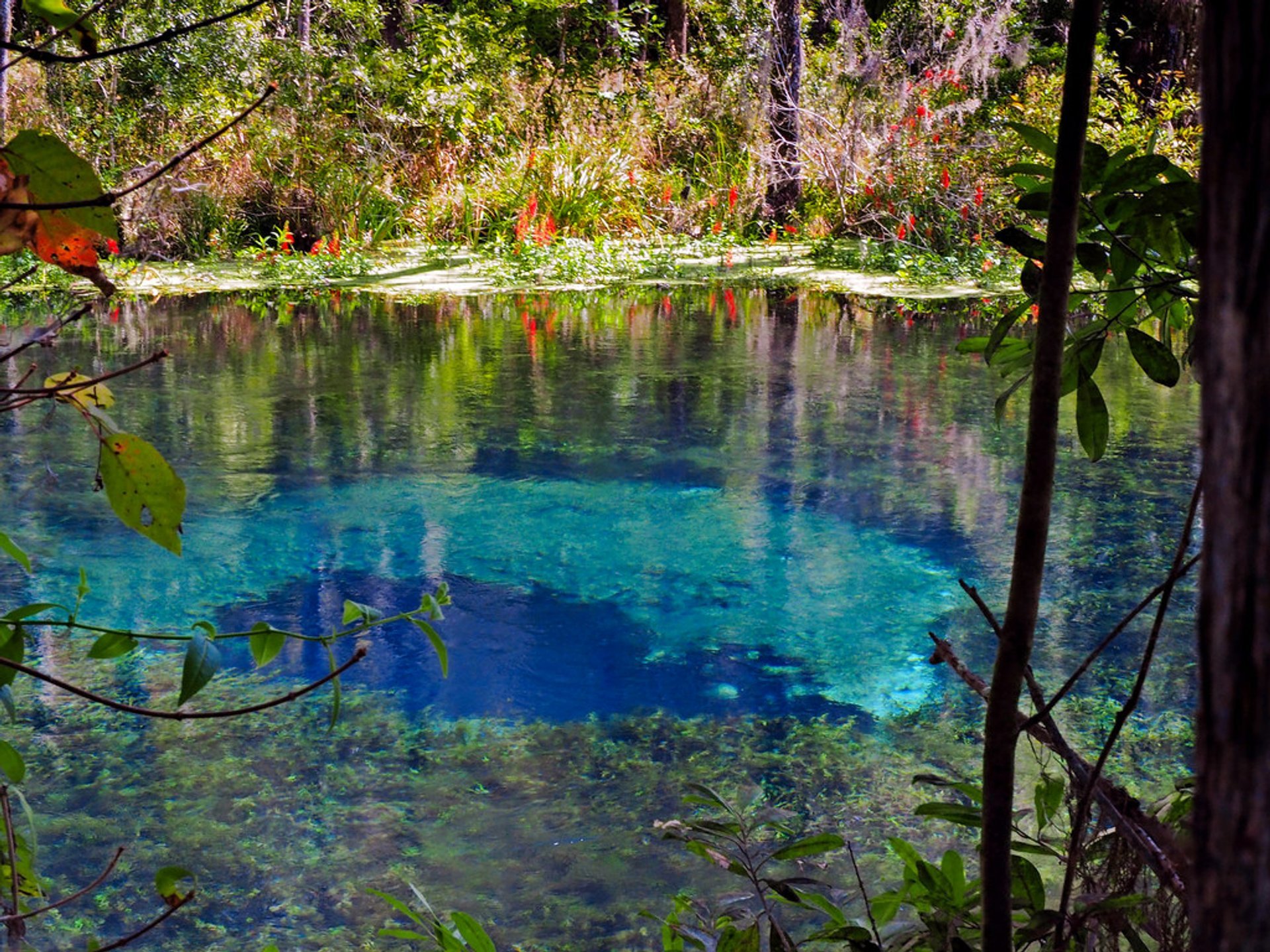 Ichetucknee Blue Hole