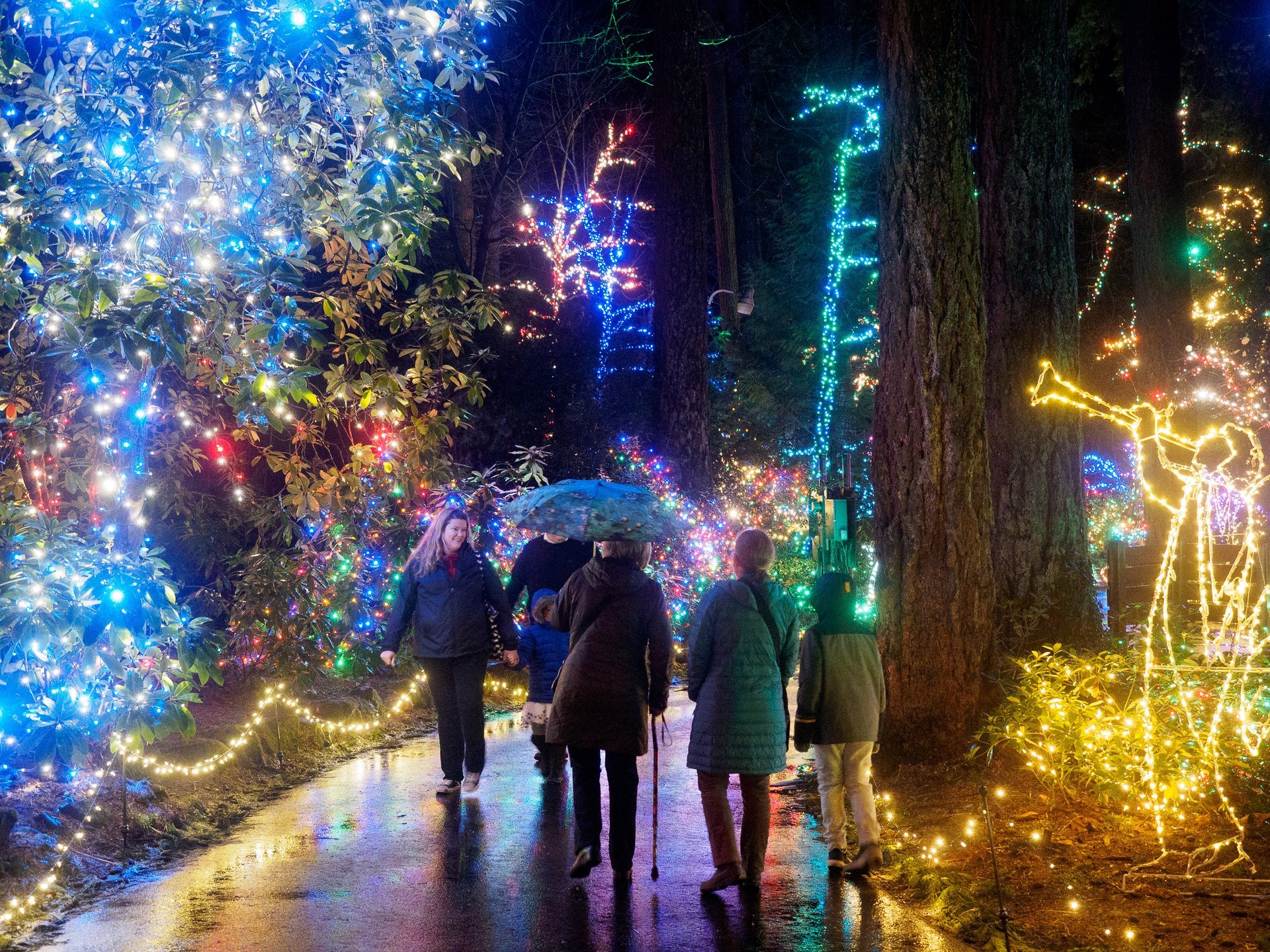 Weihnachtslichter im Oregon