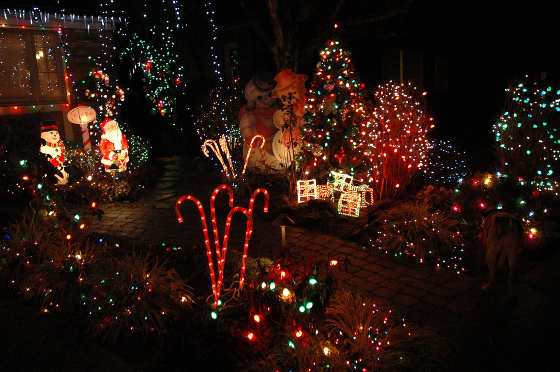 Lumières de Noël à Seattle