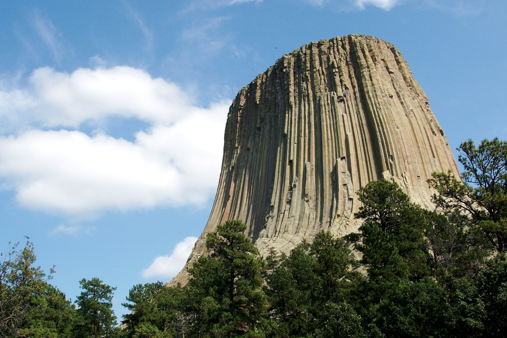 devils tower wyoming night sky