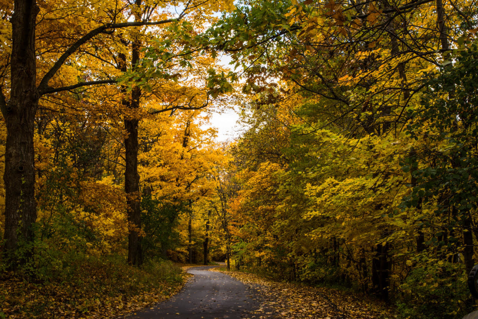 Lake Geneva Fall Colors