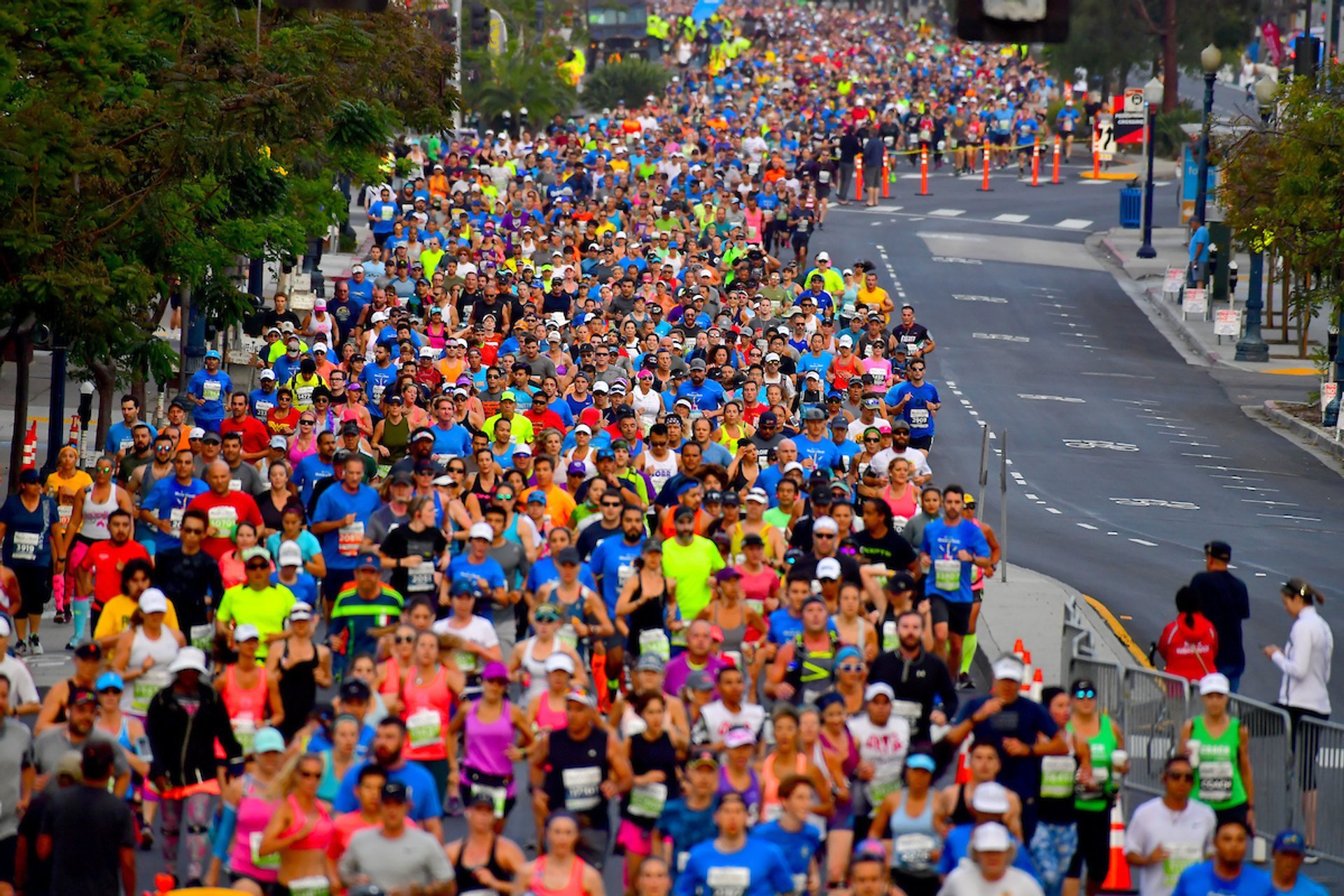 Rock'n'Roll Maratón de San Diego y 1/2 Maratón 