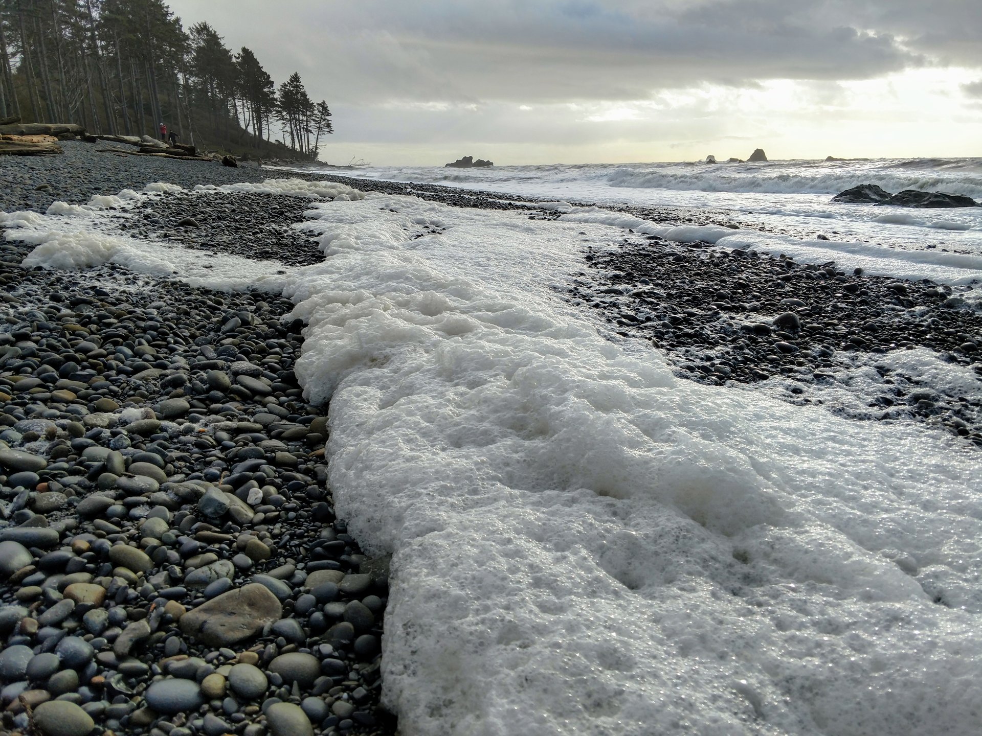 Olympic Peninsula Off-Season Day Hikes