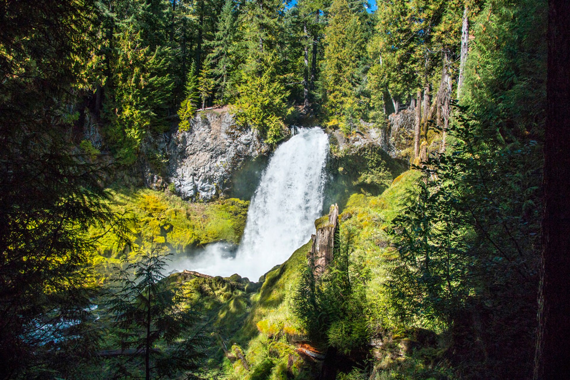 Sahalie and Koosah Falls