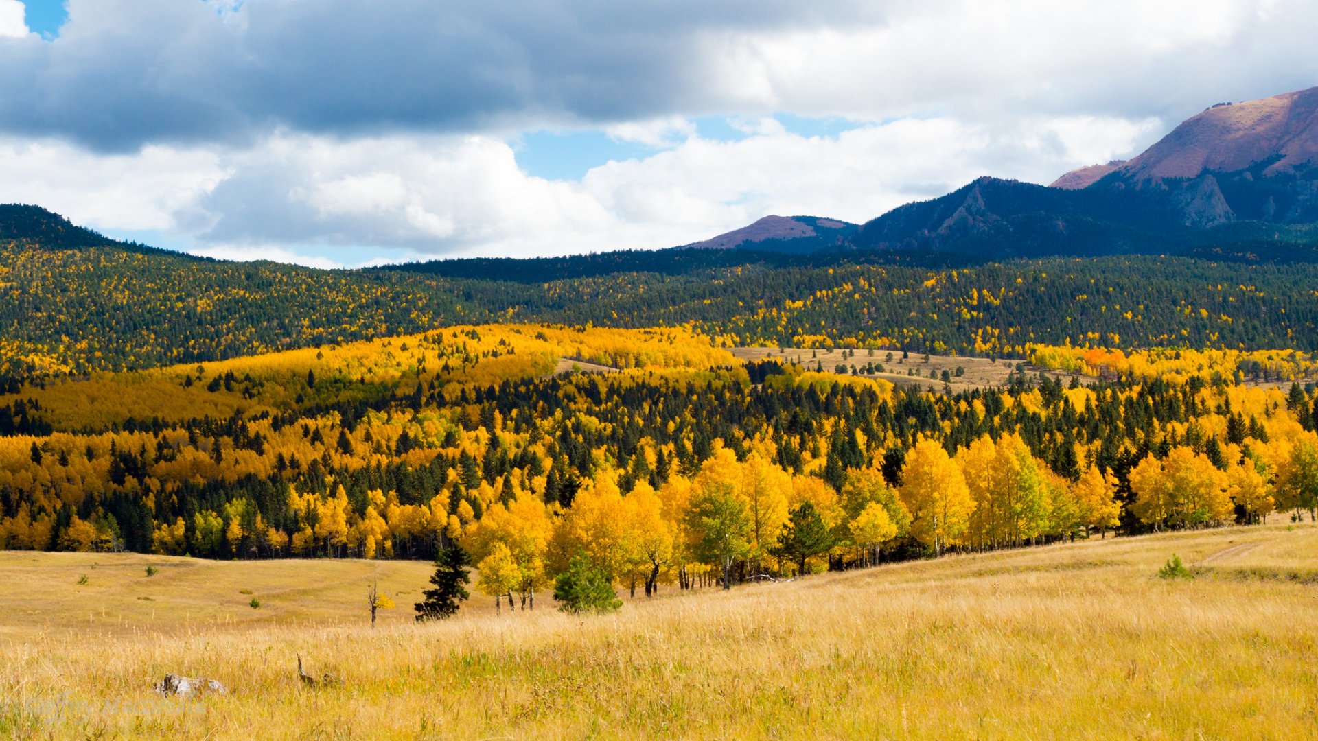 Colori autunnali delle Colorado Springs