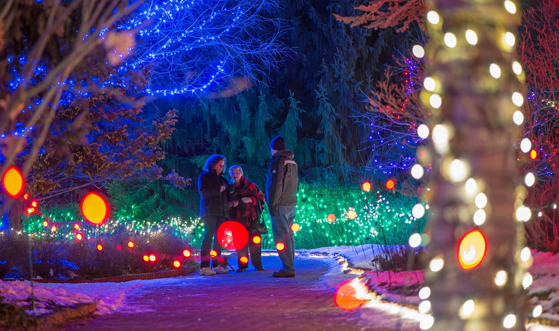 Luces de Navidad