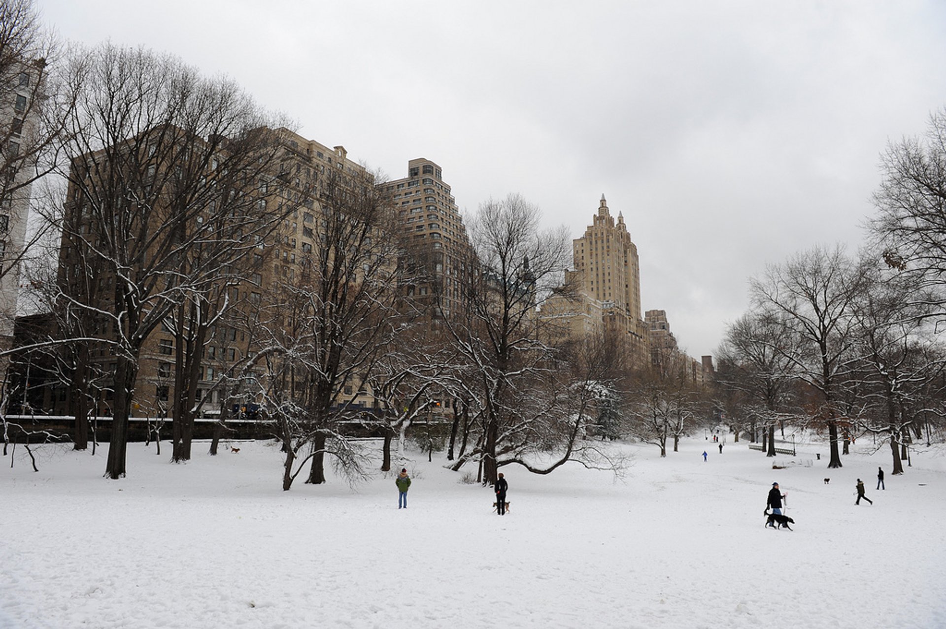 Inverno, Nova York (NYC), 2024