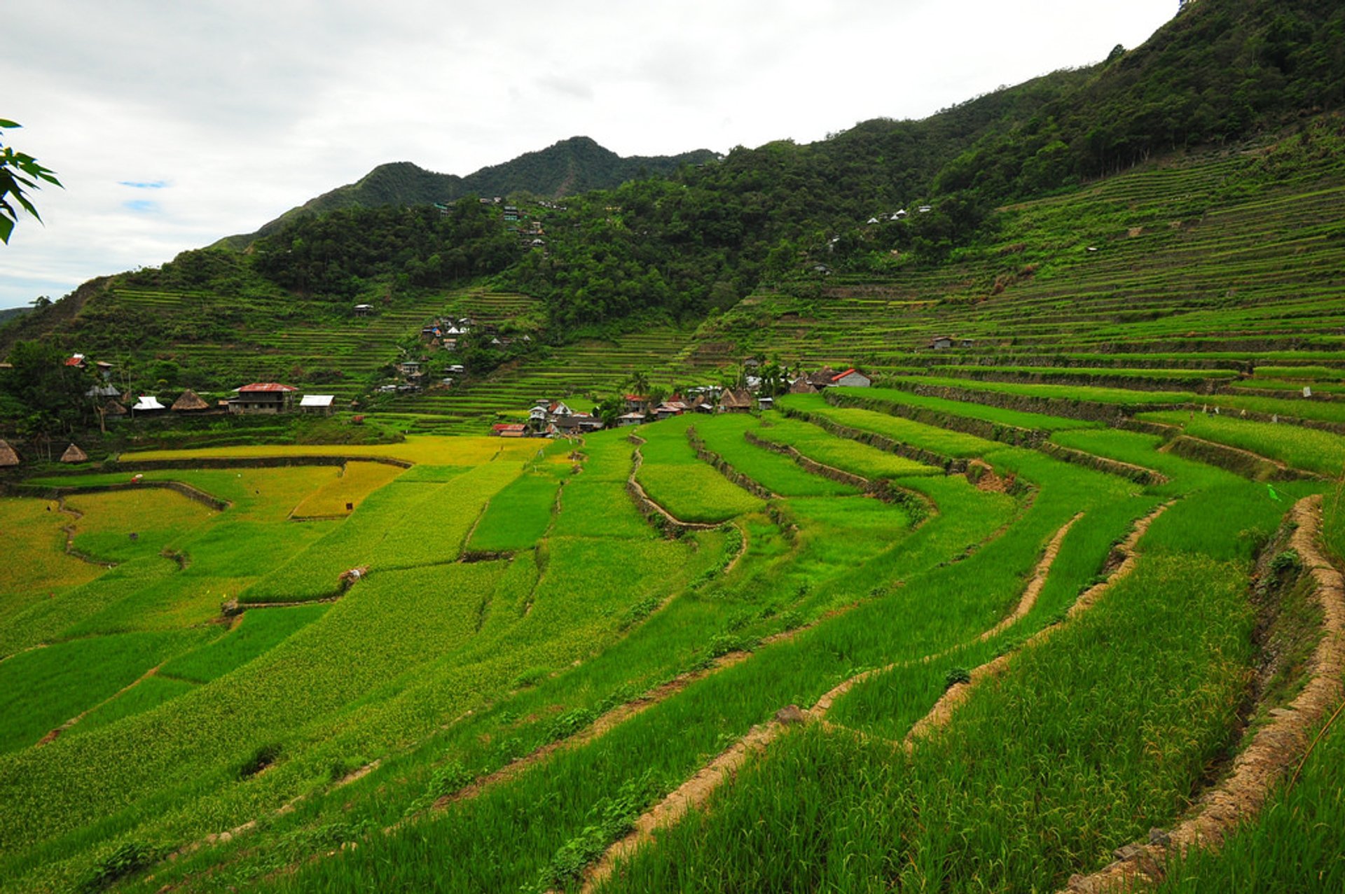 Terraços de arroz de Banaue e Batad