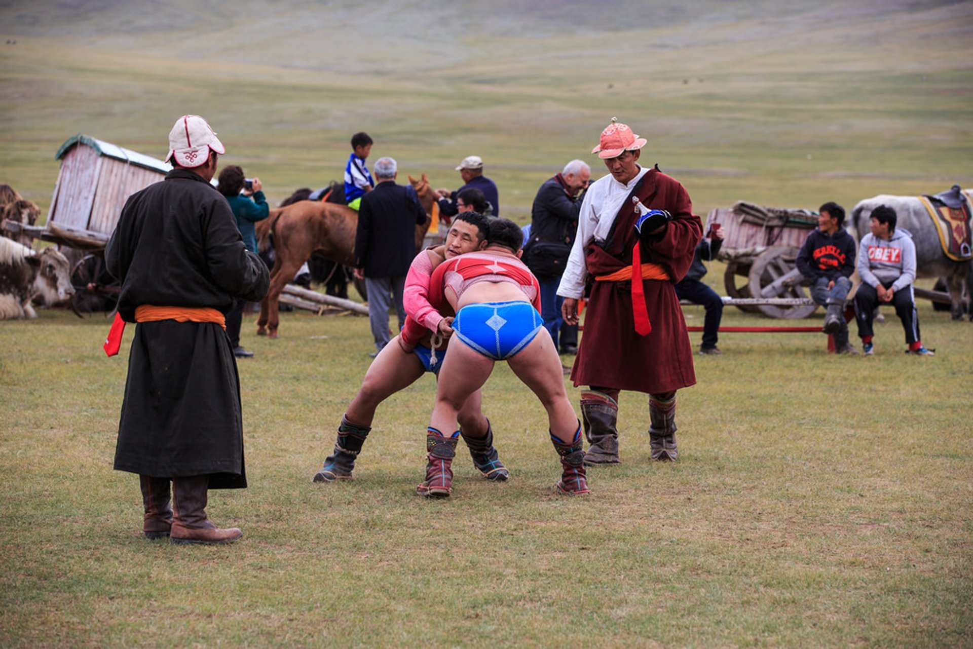 Lucha mongola (Bökh)