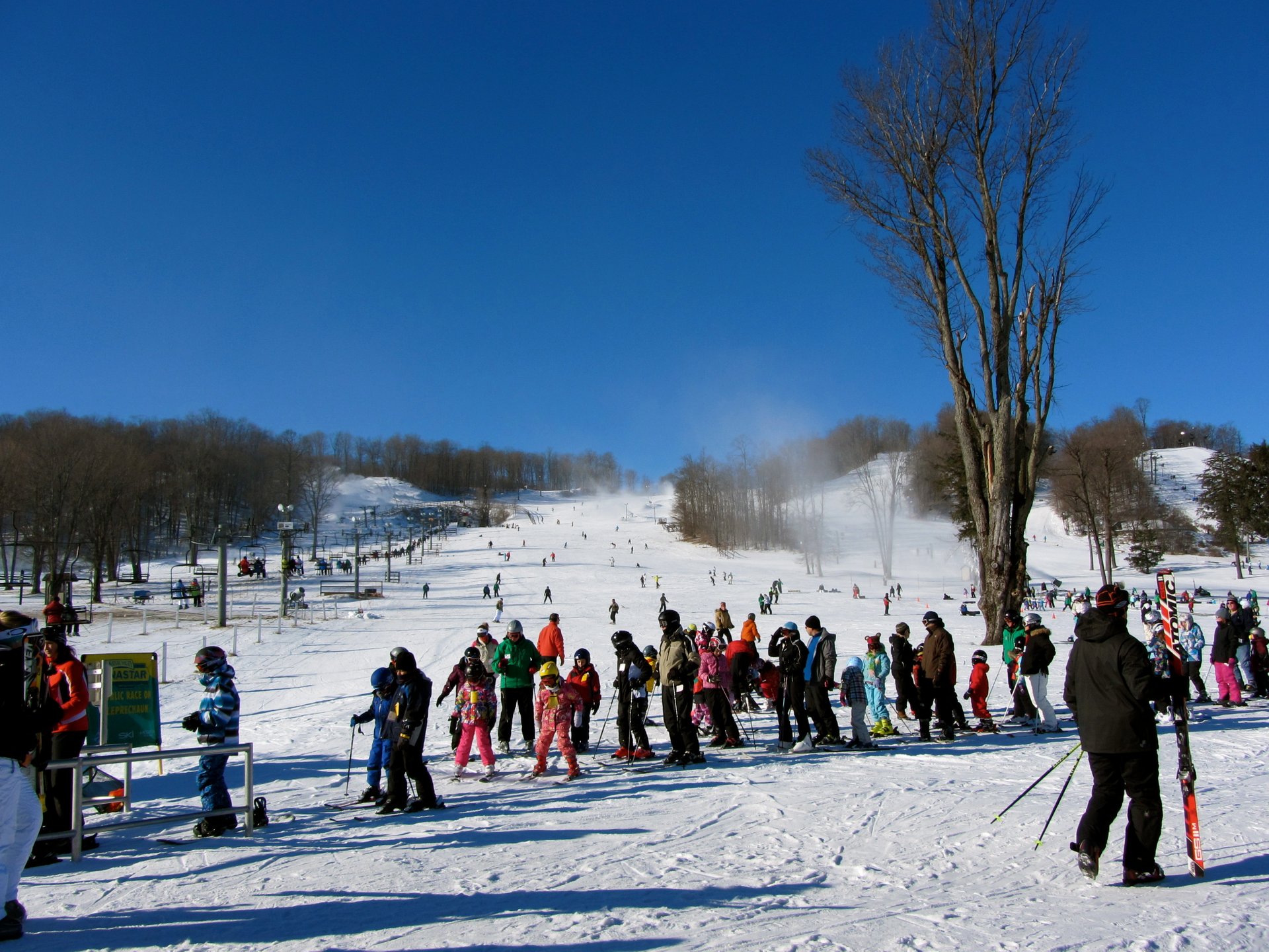 Skiing and Snowboarding  