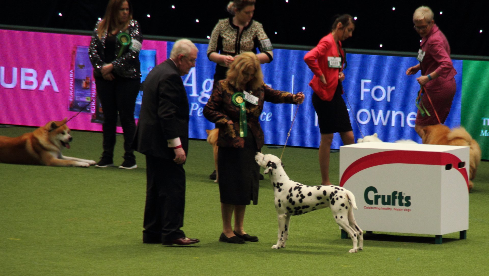 crufts international dog show