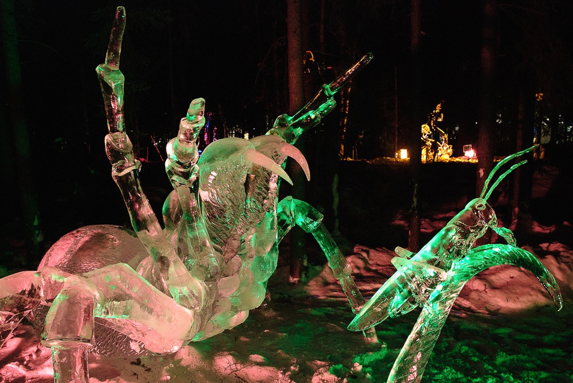 Wo​rld Ice Art Championships