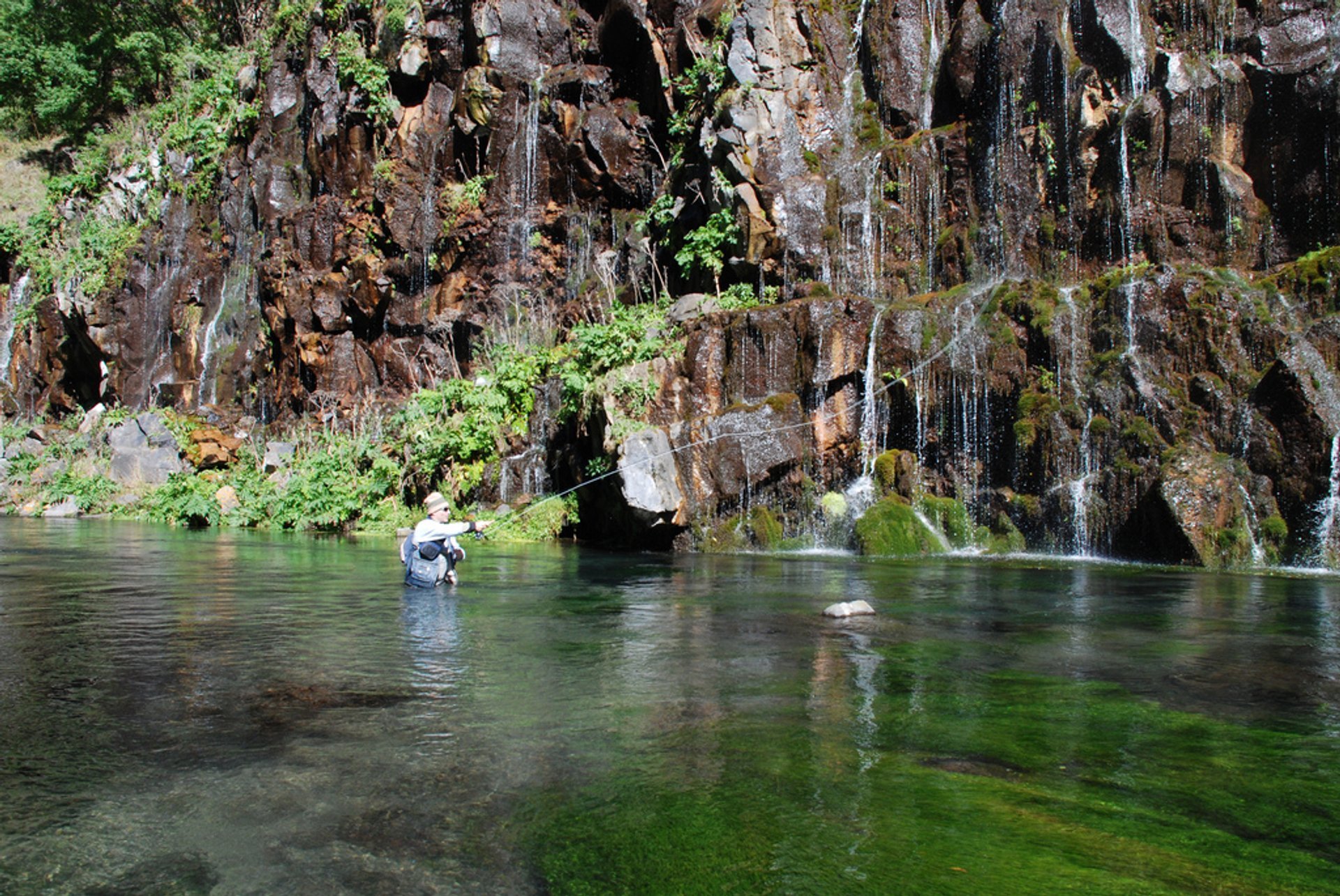 Trota da pesca