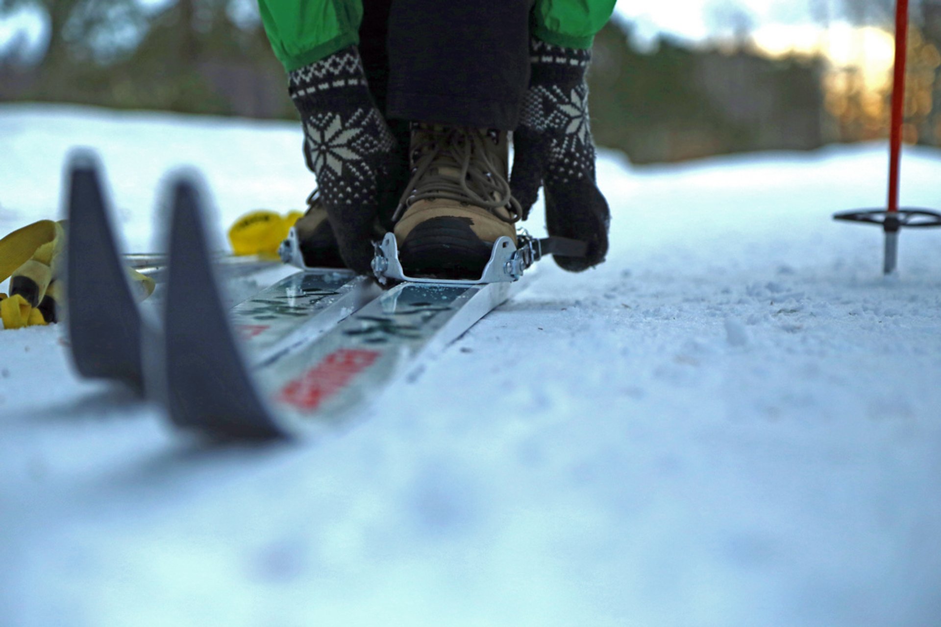 Cross-Country Skiing