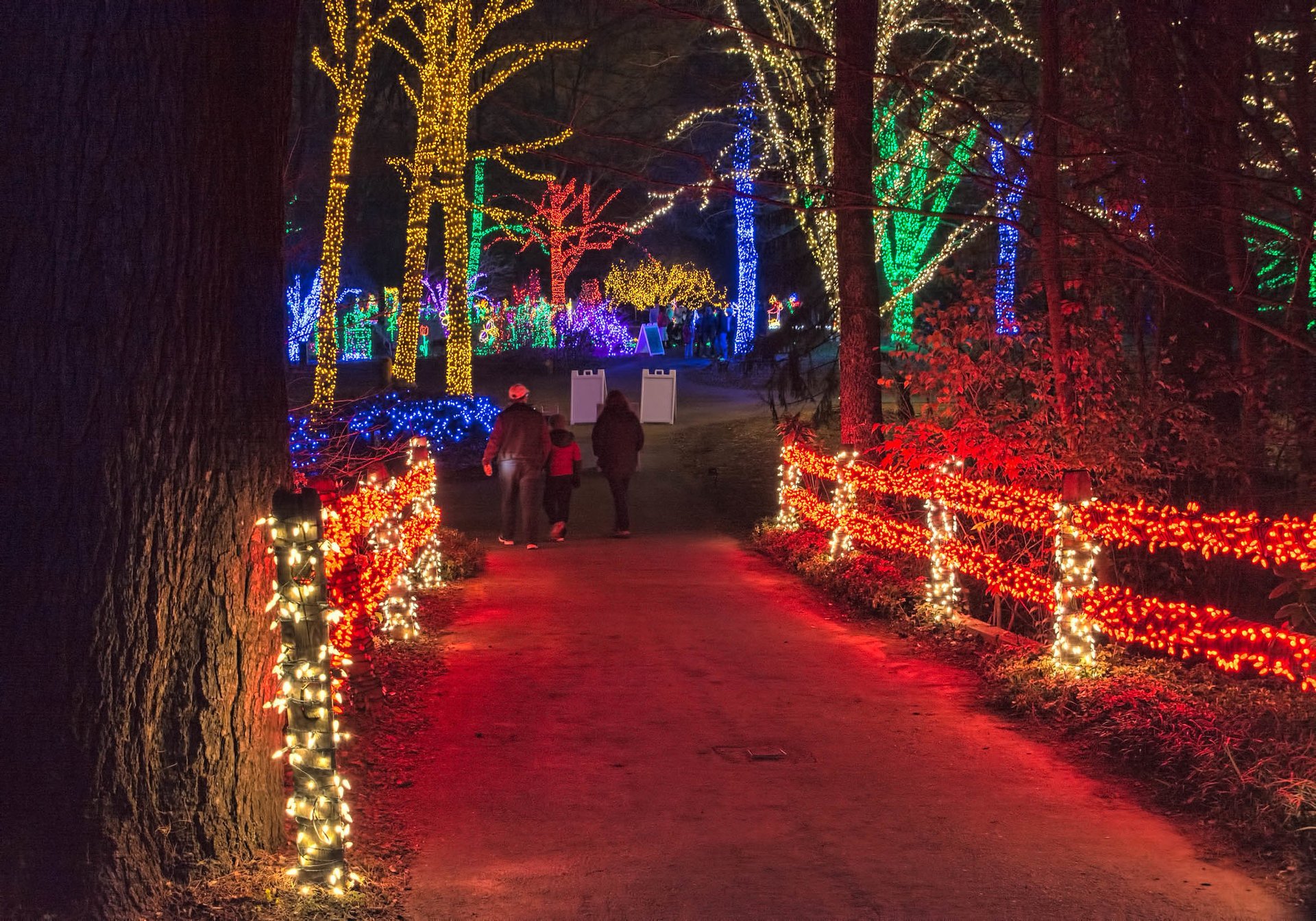 Luzes de Navidad a través de Virginia