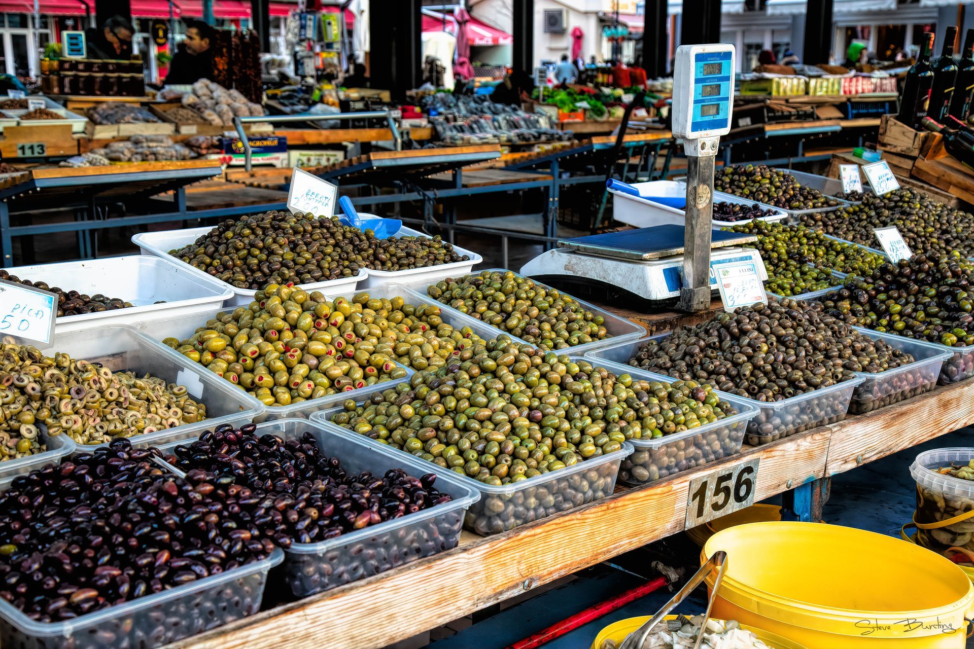 Olive Harvest