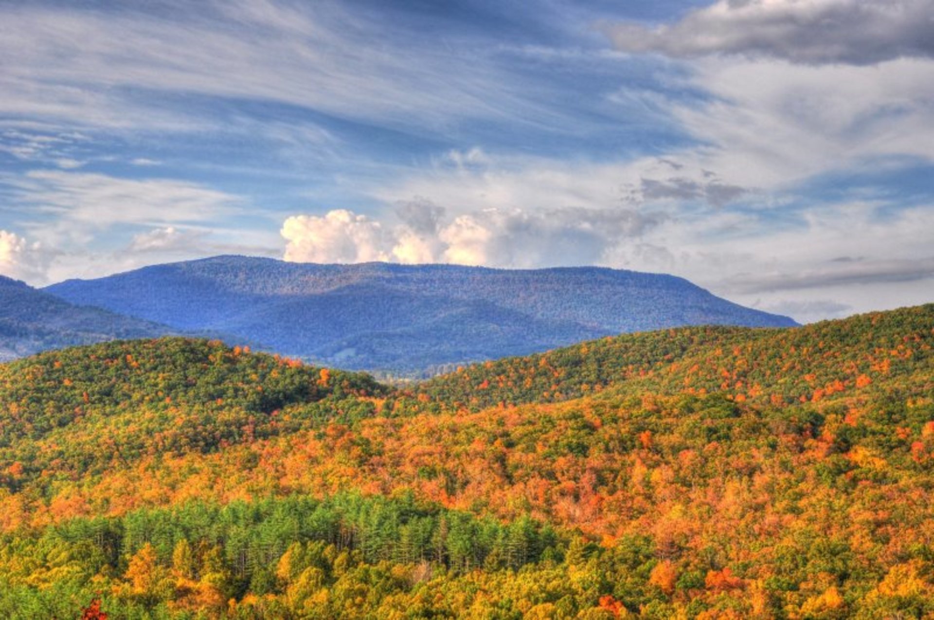 West Virginia Herbstlaub
