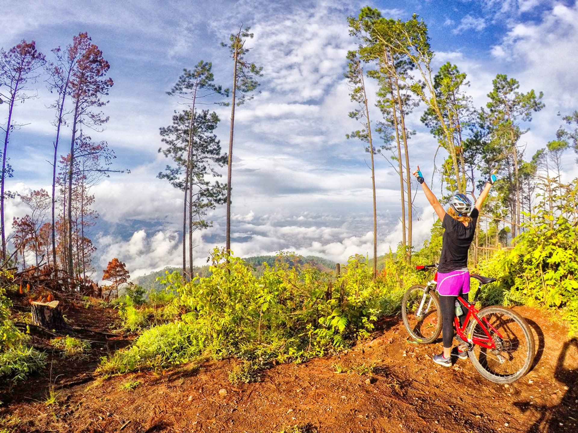 Mountain Biking