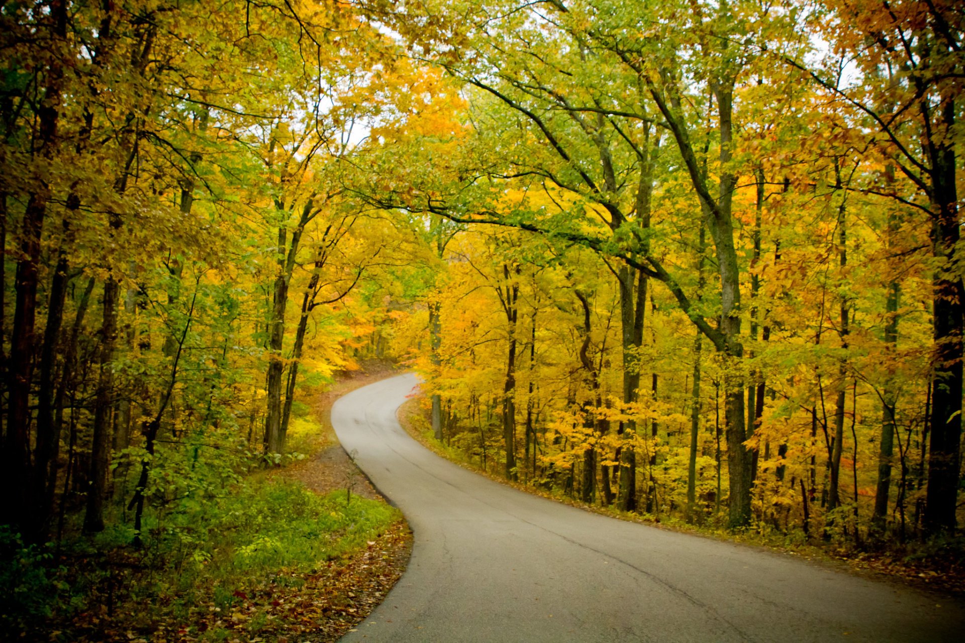 Colori autunnali dell'Indiana